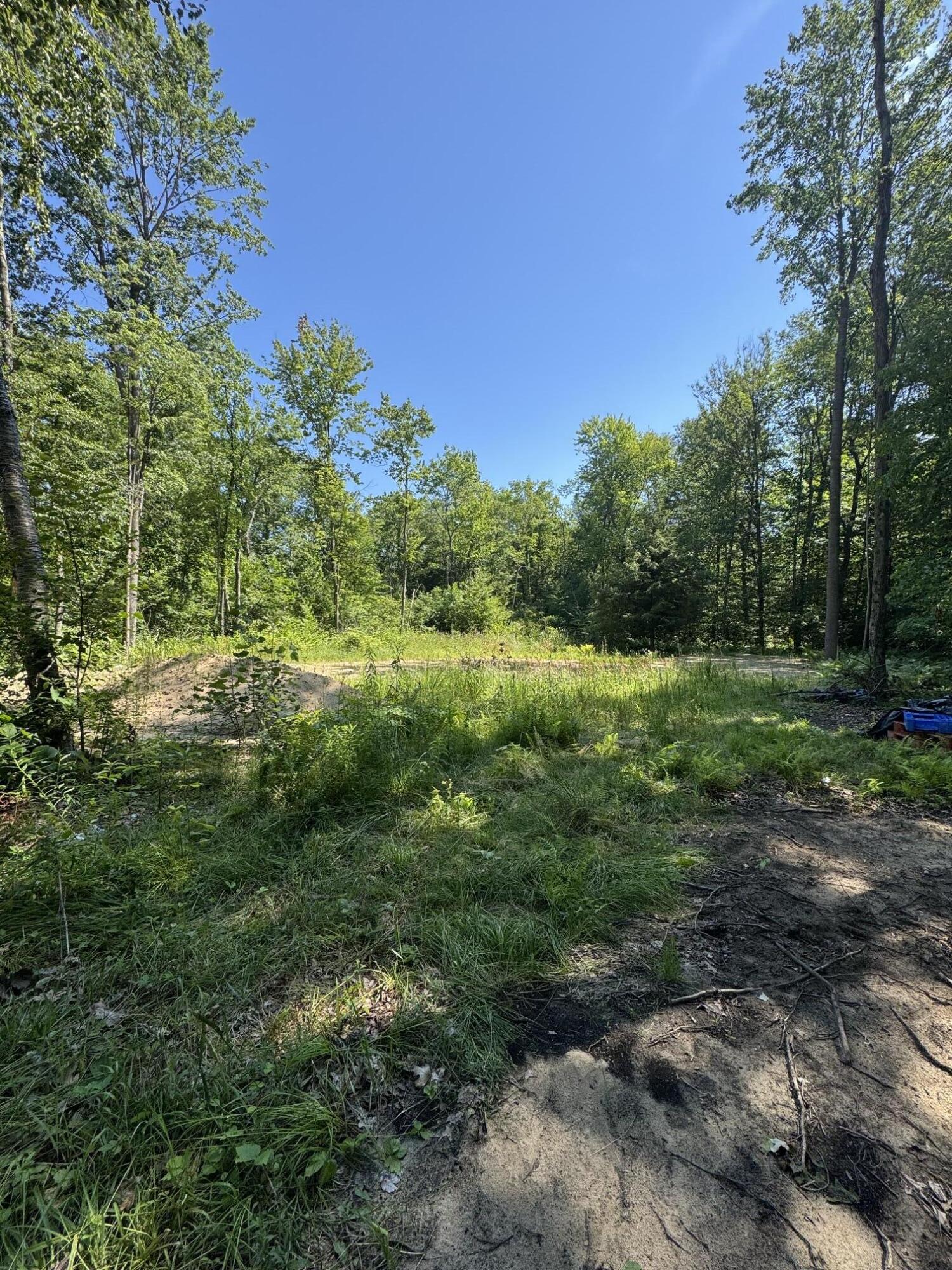 3181 53rd Street Grand Junction MI 49056