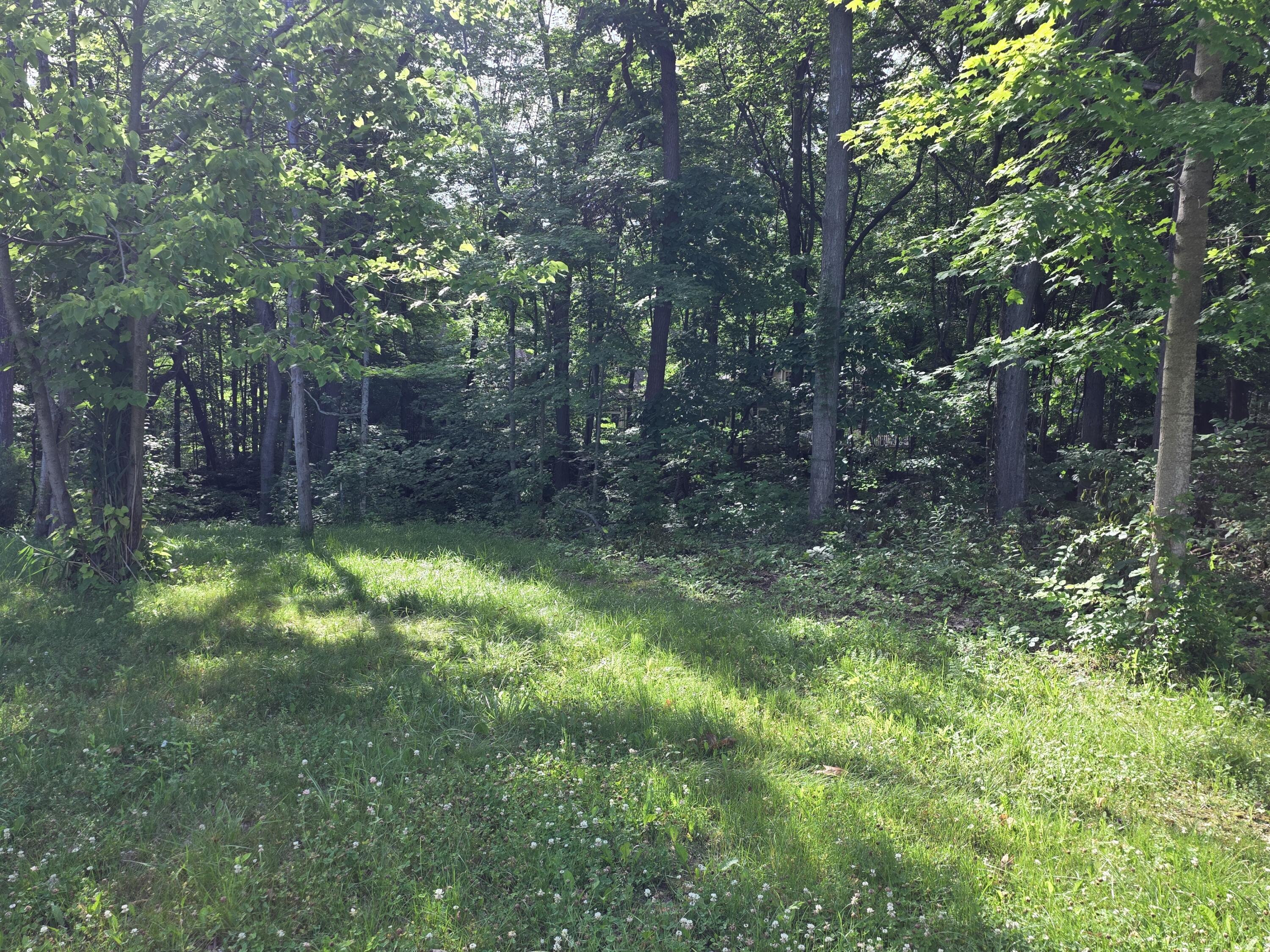 17641 Summerhill Lane New Buffalo MI 49117
