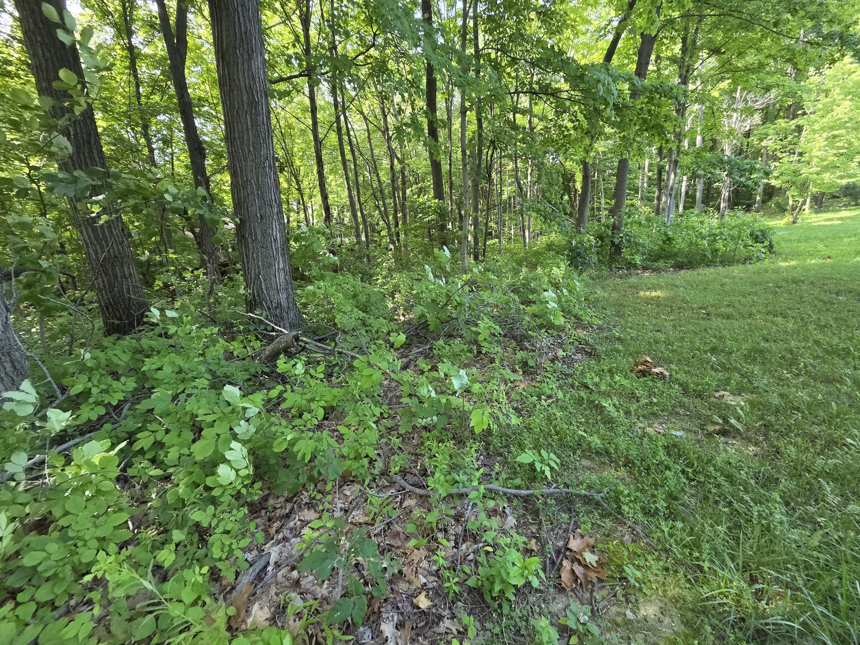 17641 Summerhill Lane New Buffalo MI 49117