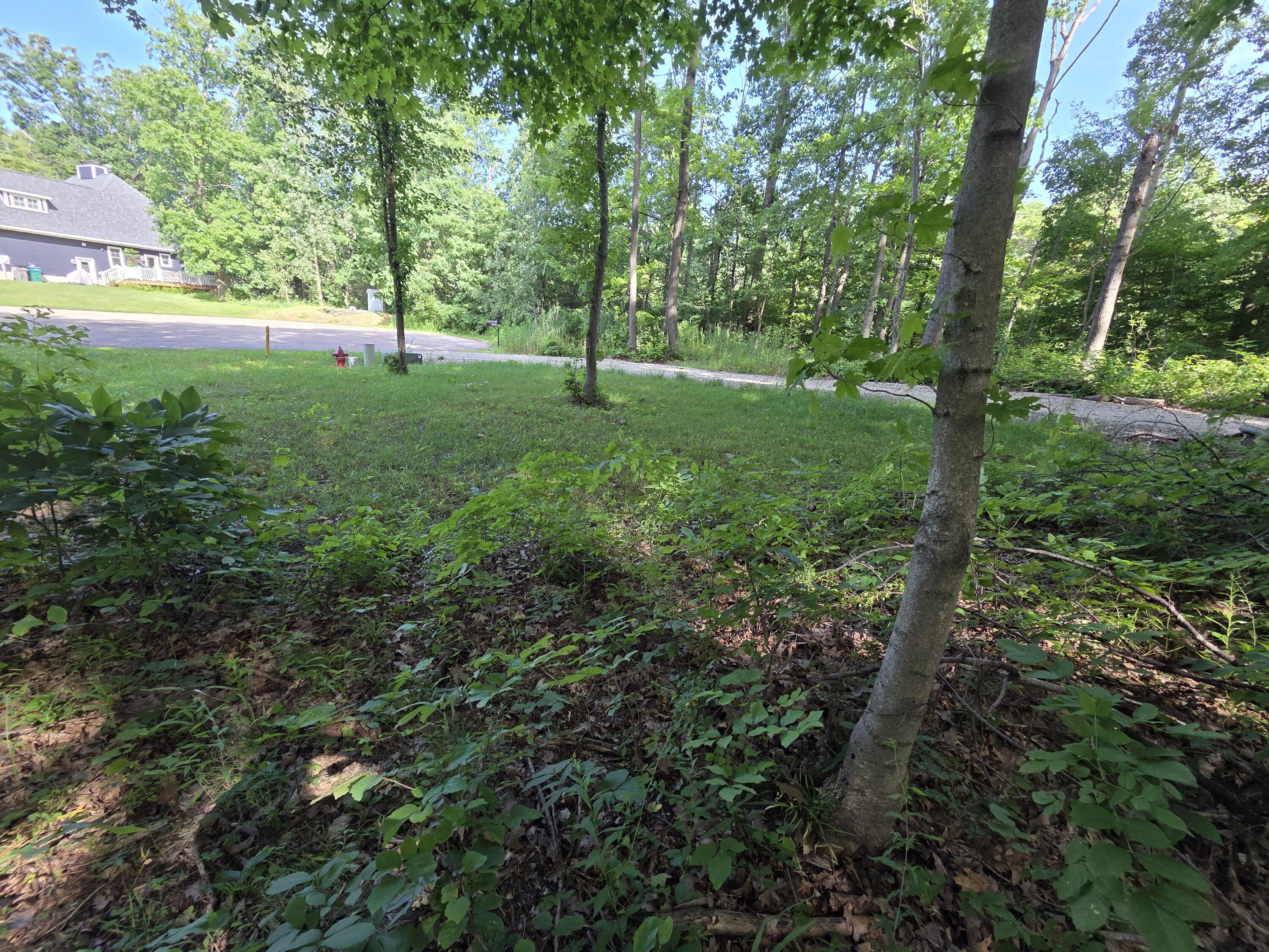 17641 Summerhill Lane New Buffalo MI 49117