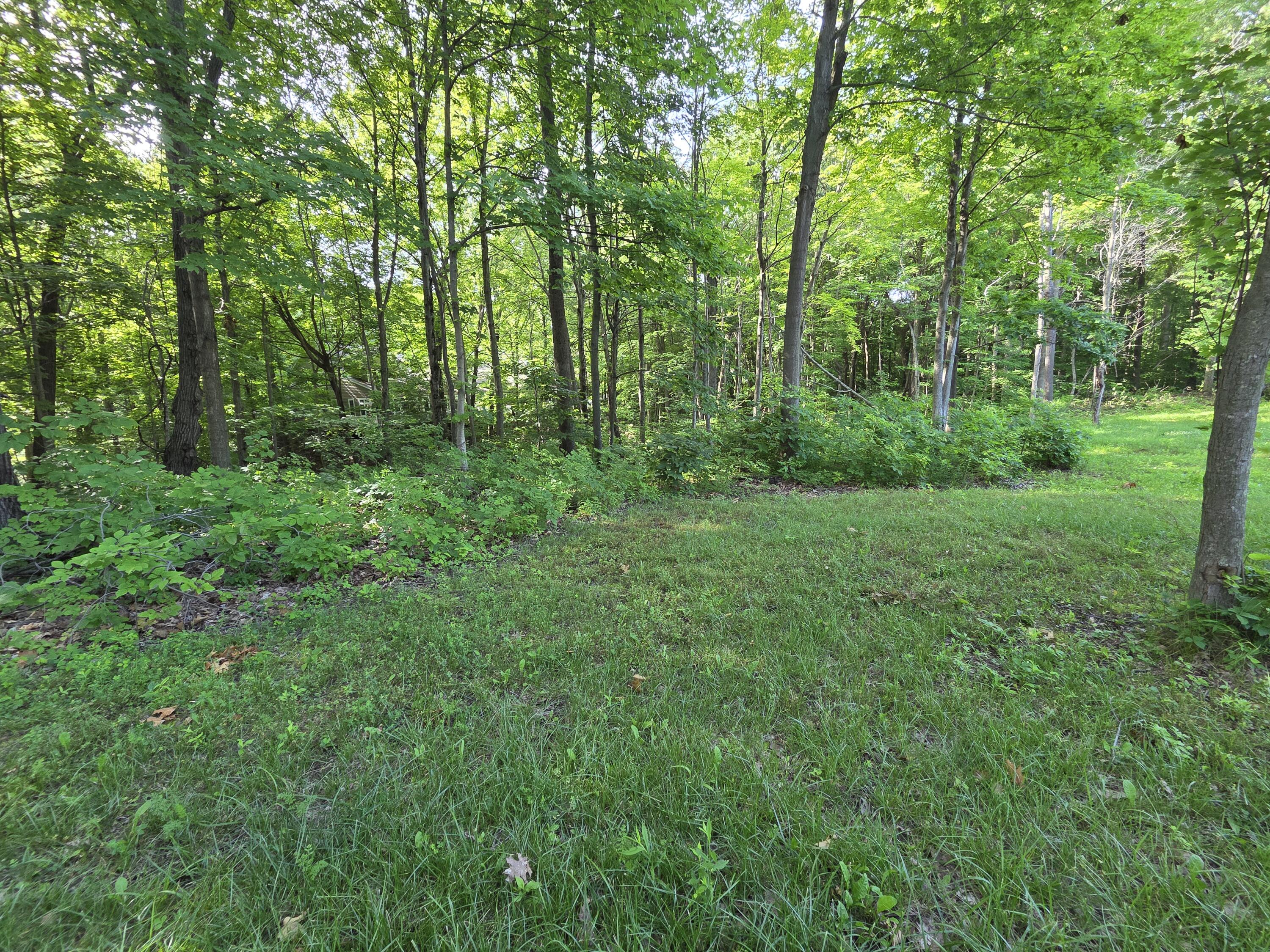 17641 Summerhill Lane New Buffalo MI 49117