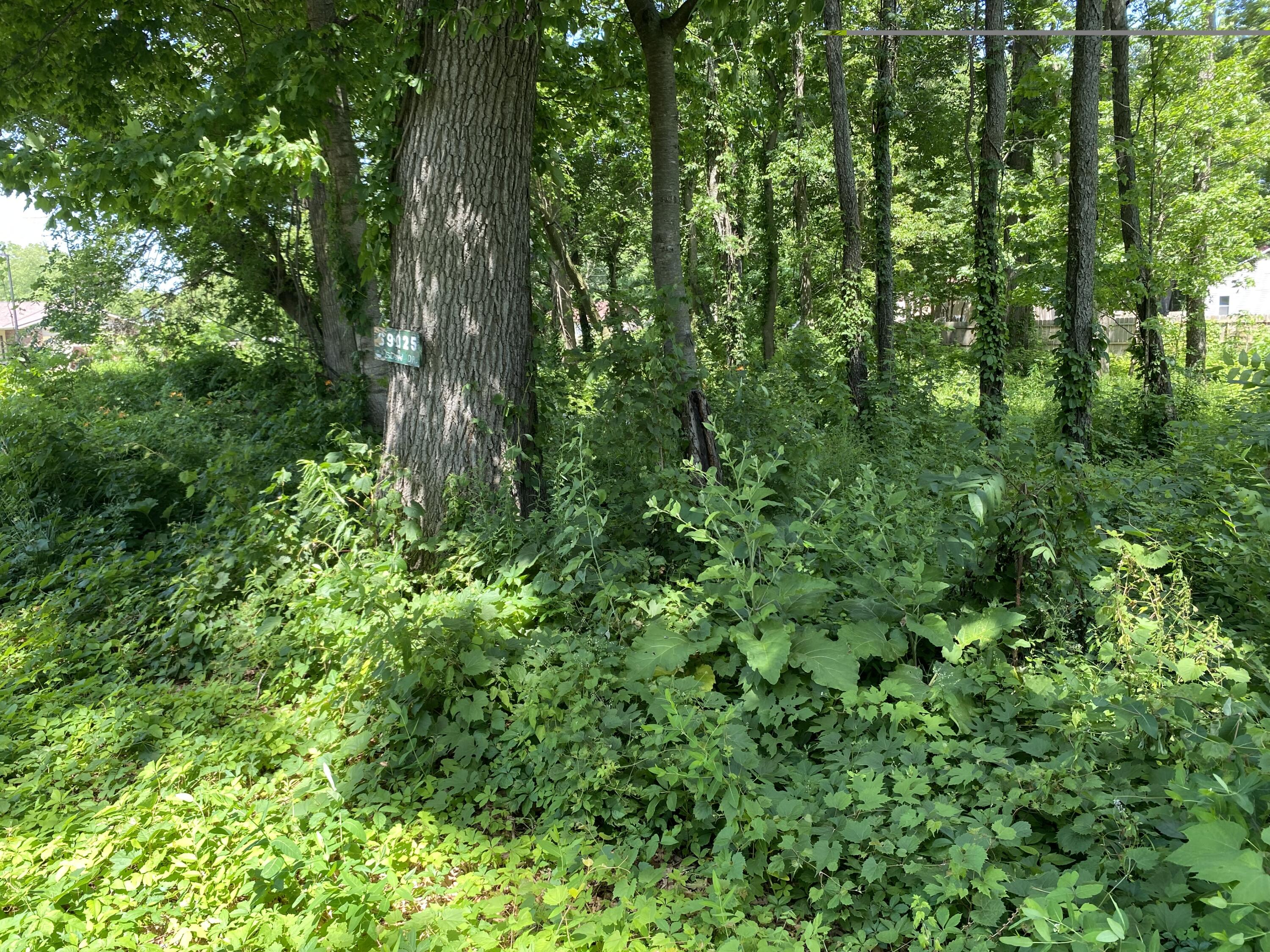 69025 Island Drive Edwardsburg MI 49112