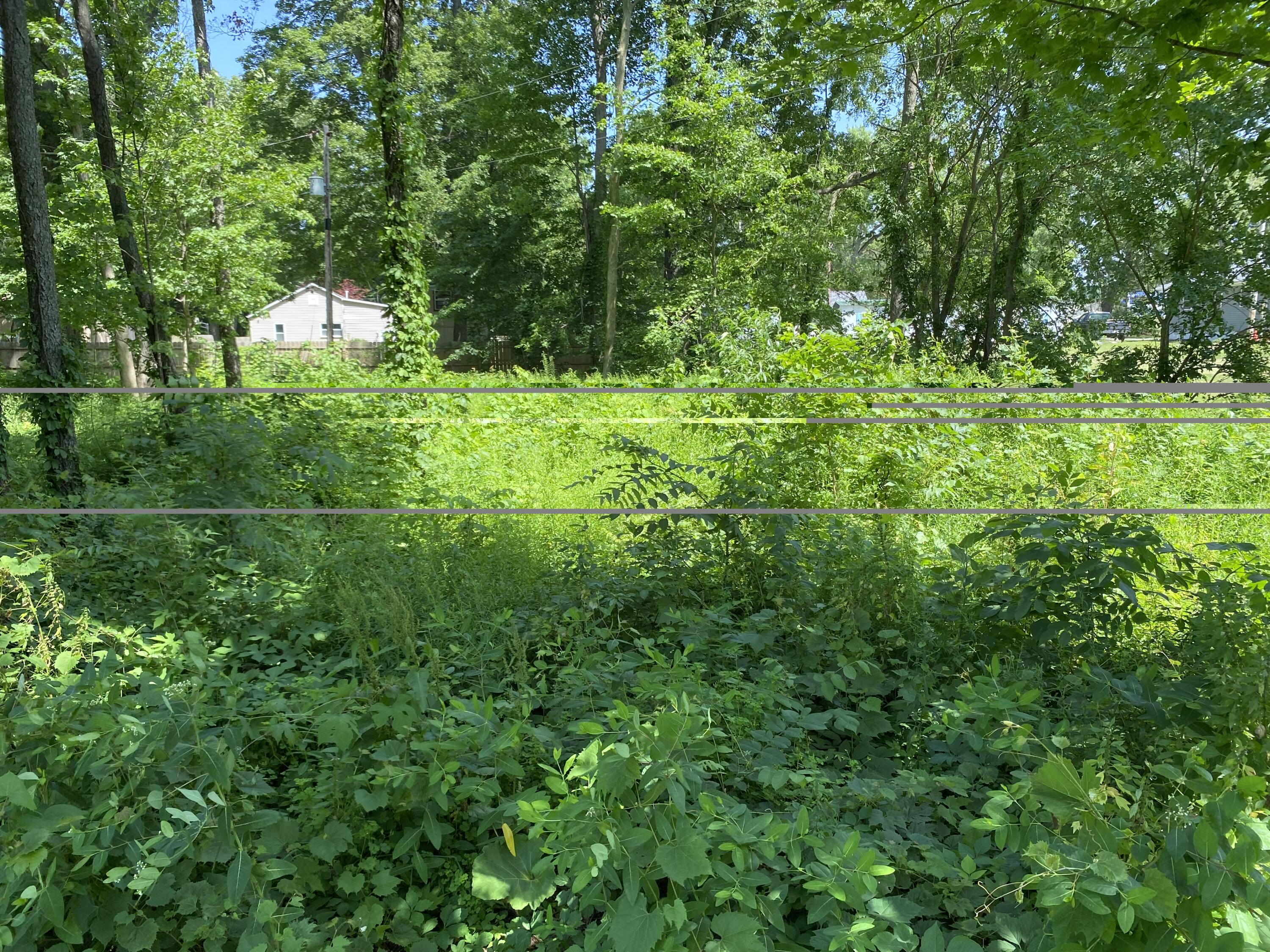 69025 Island Drive Edwardsburg MI 49112