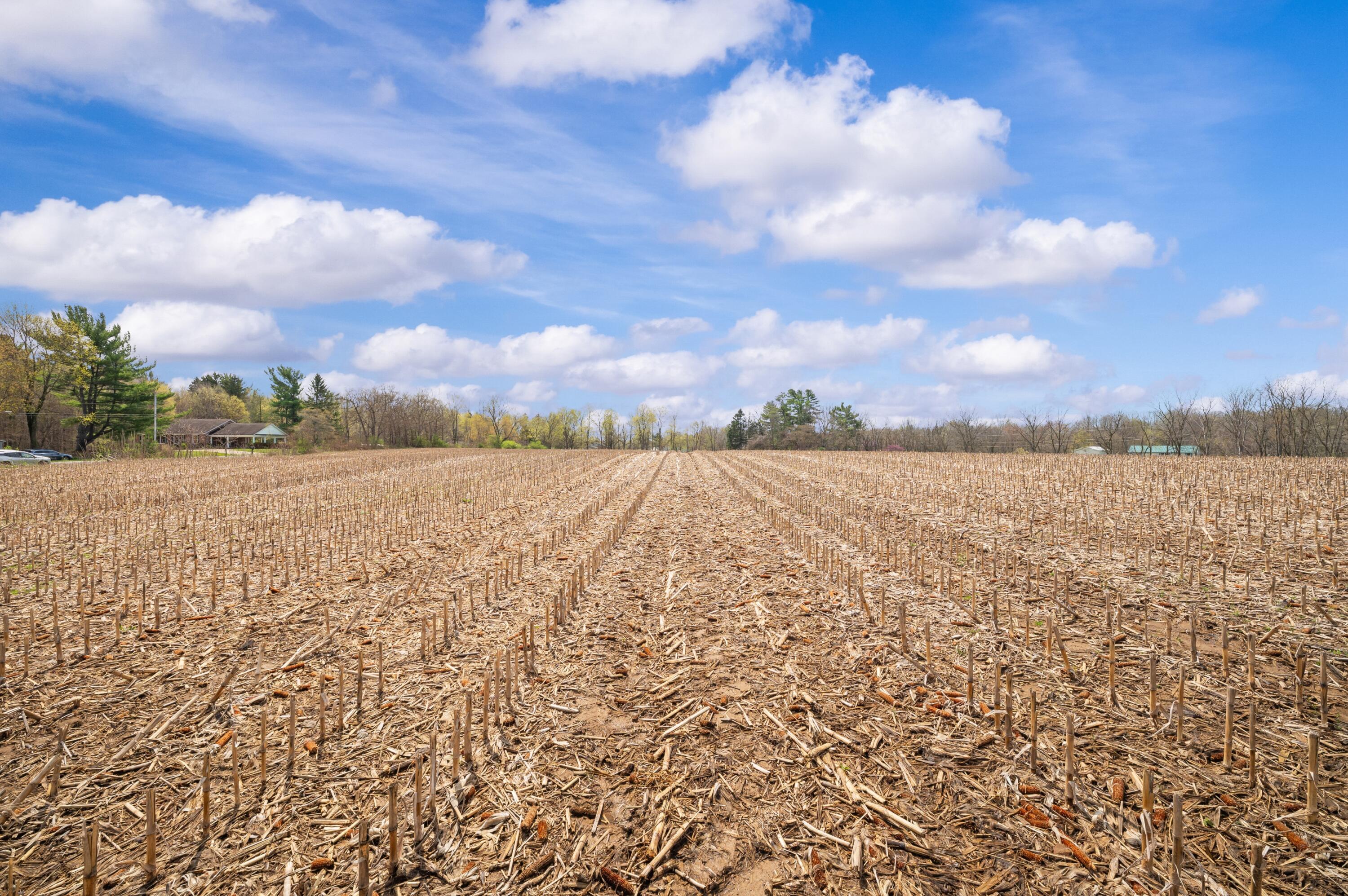 Lot A Broceus School Road Buchanan MI 49107