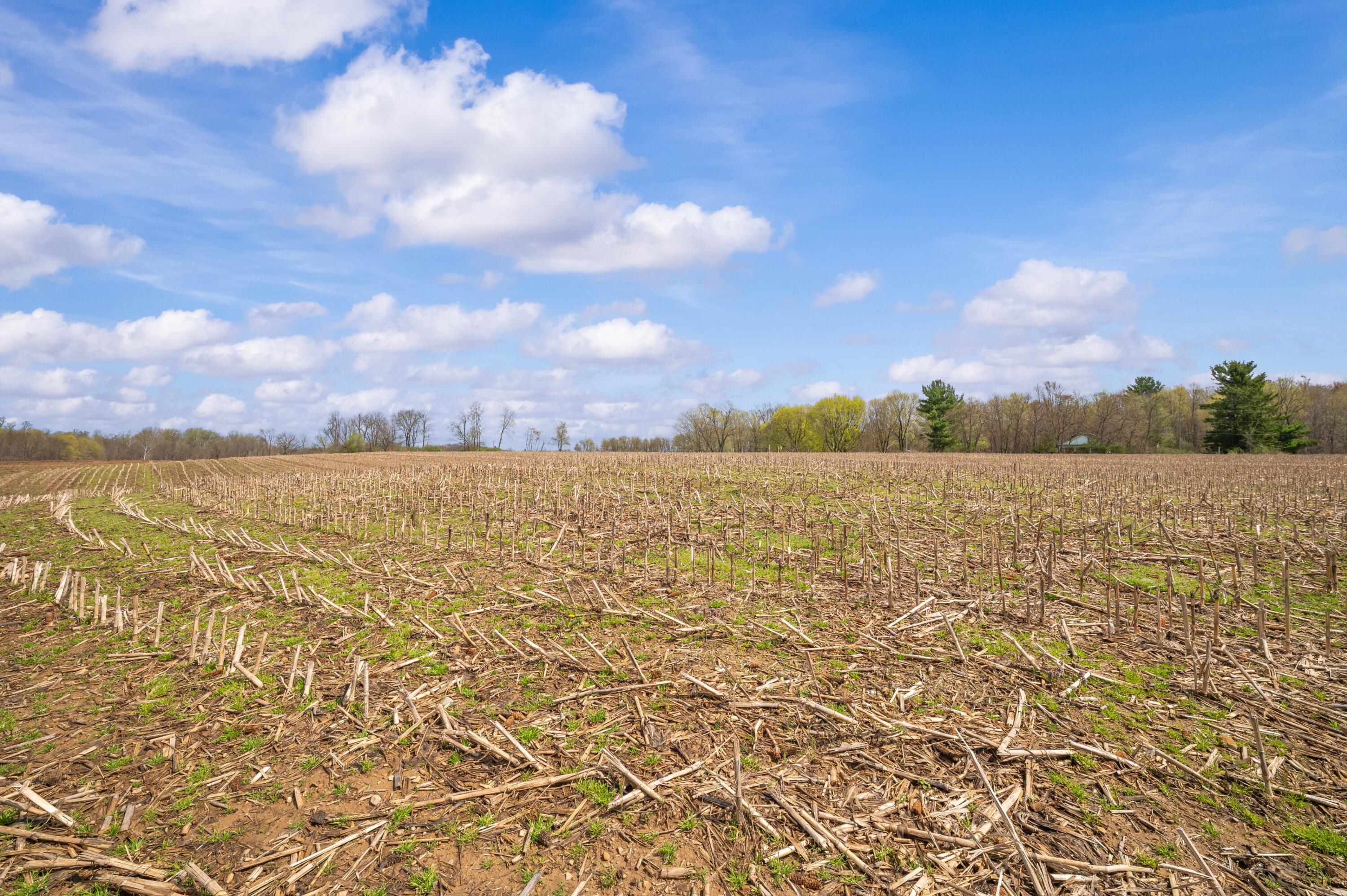 Lot A Broceus School Road Buchanan MI 49107