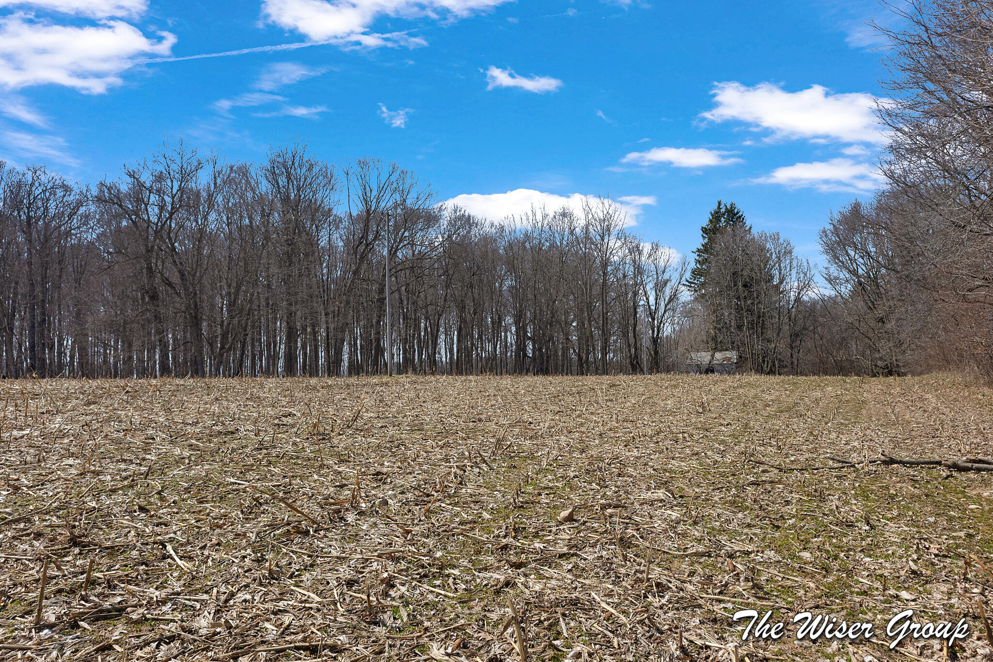 10479 Friske Drive NE Rockford MI 49341