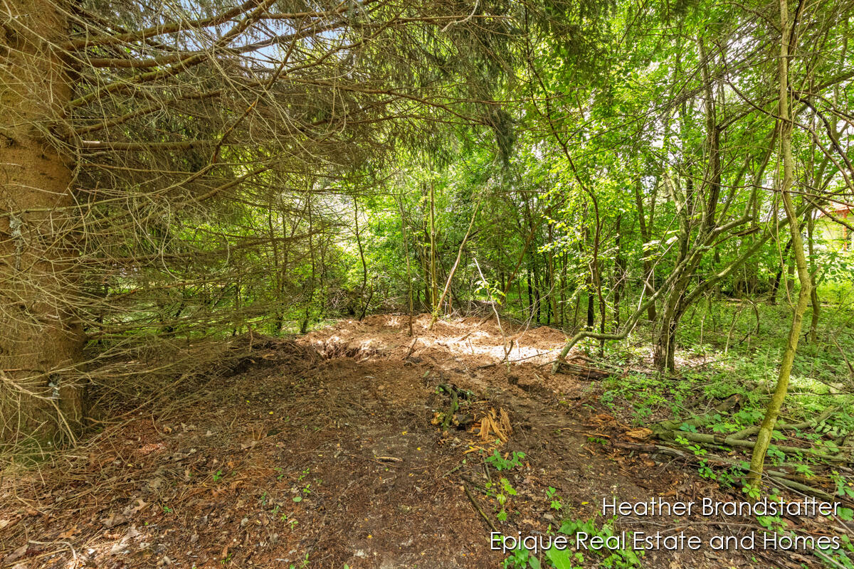 4323 Woodside Oaks Drive SE Grand Rapids MI 49546