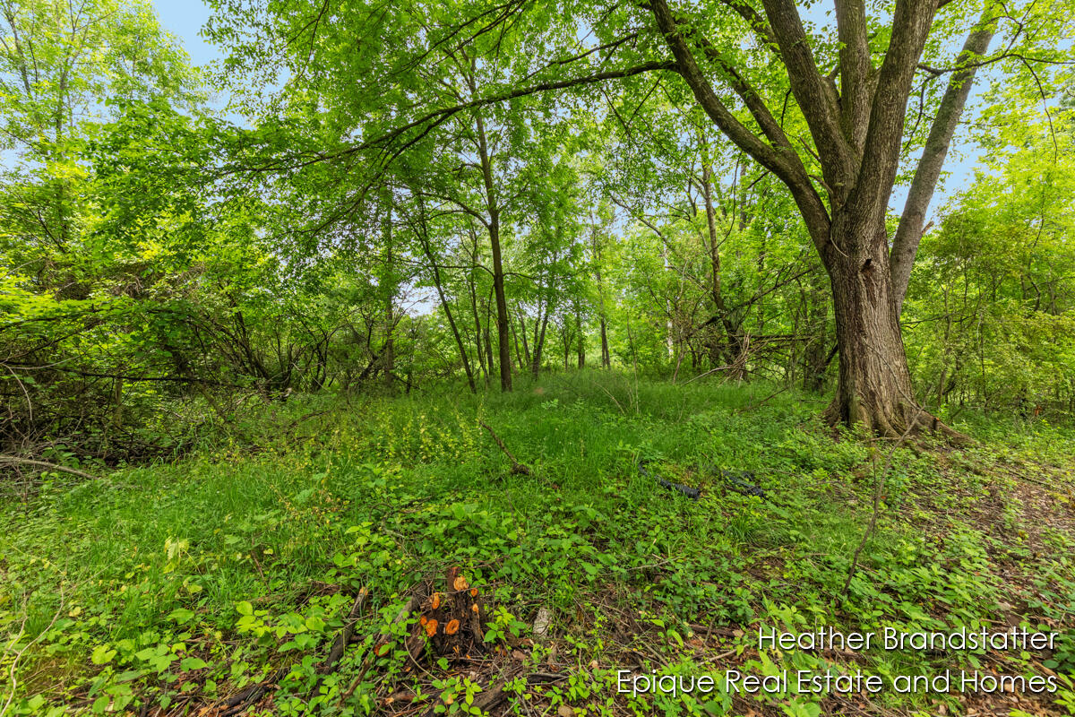 4323 Woodside Oaks Drive SE Grand Rapids MI 49546