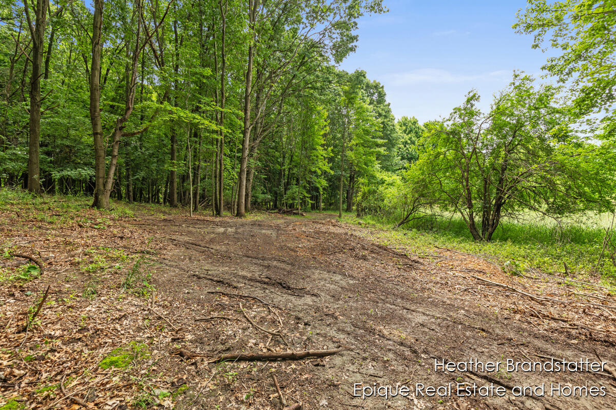 4323 Woodside Oaks Drive SE Grand Rapids MI 49546