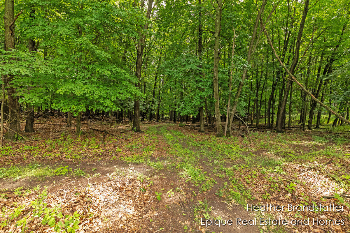 4323 Woodside Oaks Drive SE Grand Rapids MI 49546