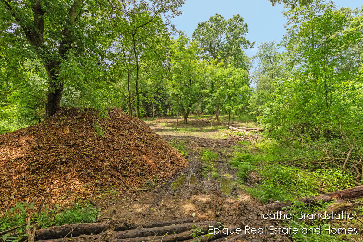 4323 Woodside Oaks Drive SE Grand Rapids MI 49546