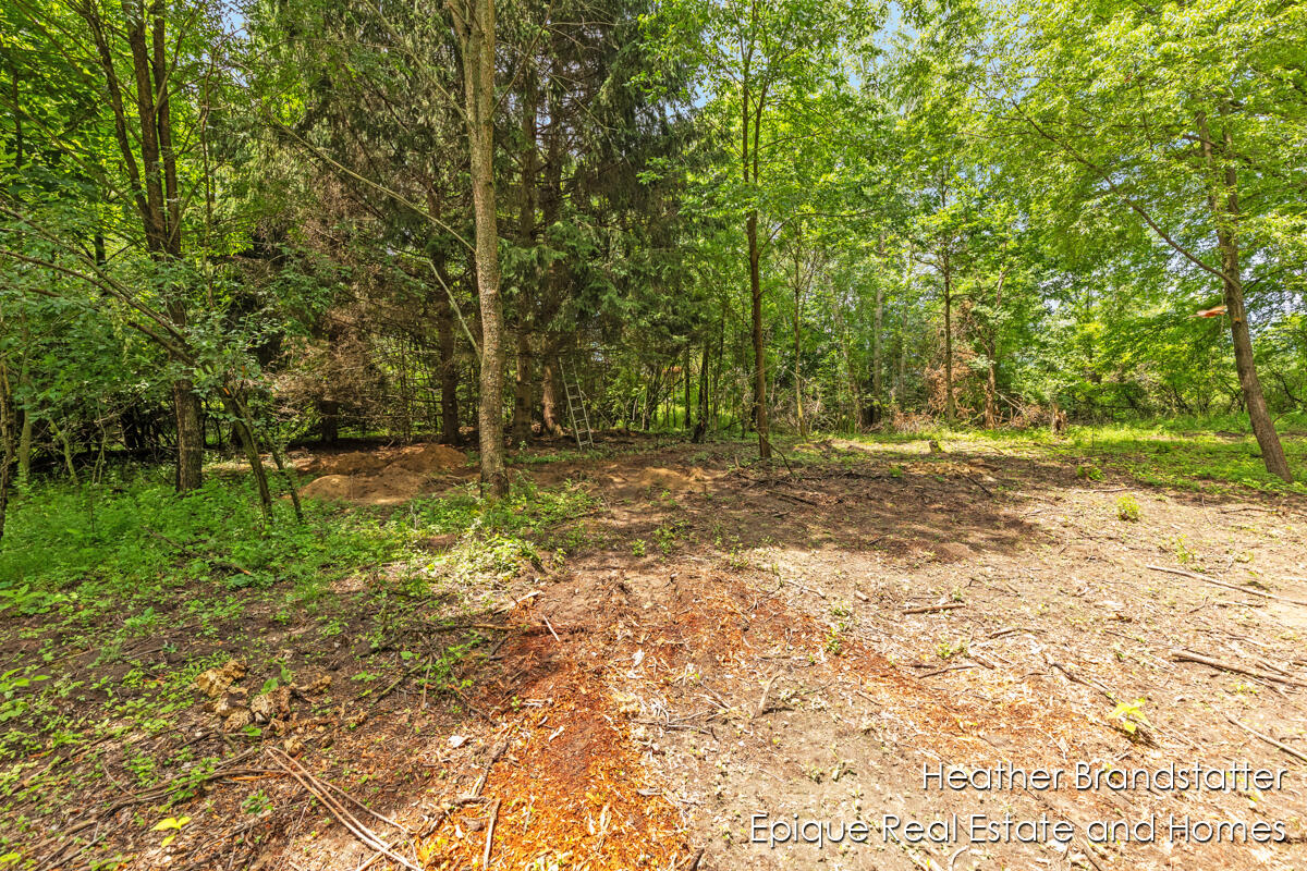 4323 Woodside Oaks Drive SE Grand Rapids MI 49546