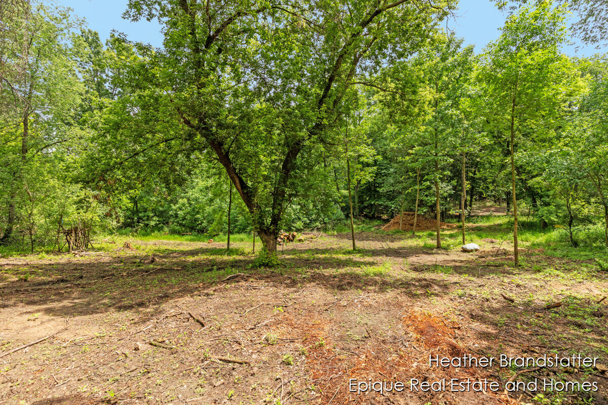 4323 Woodside Oaks Drive SE Grand Rapids MI 49546