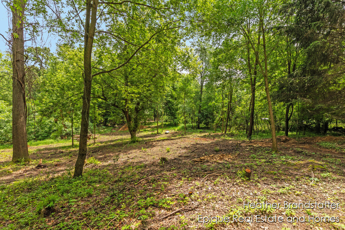 4323 Woodside Oaks Drive SE Grand Rapids MI 49546
