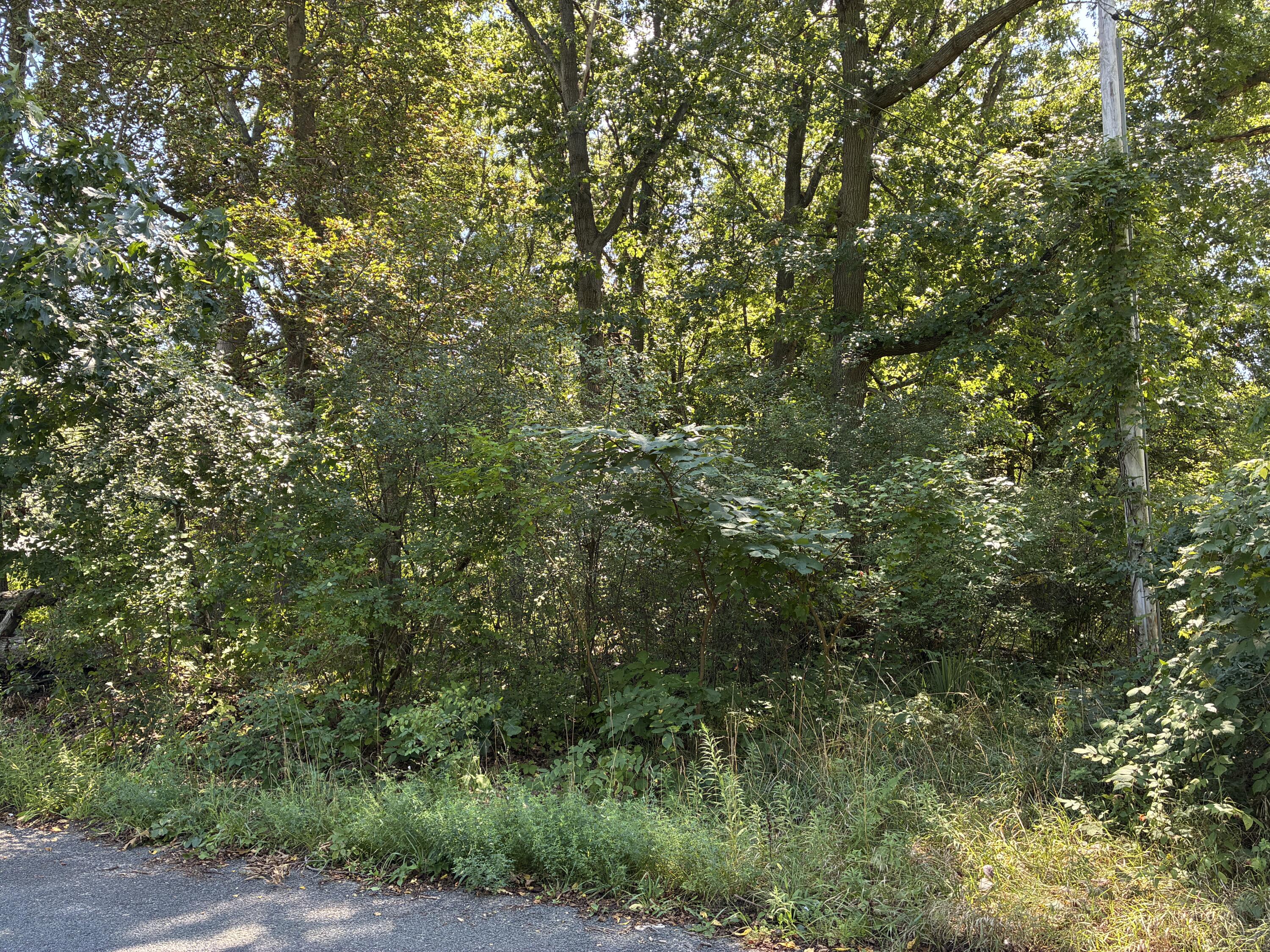 Francis Avenue Kalamazoo MI 49048