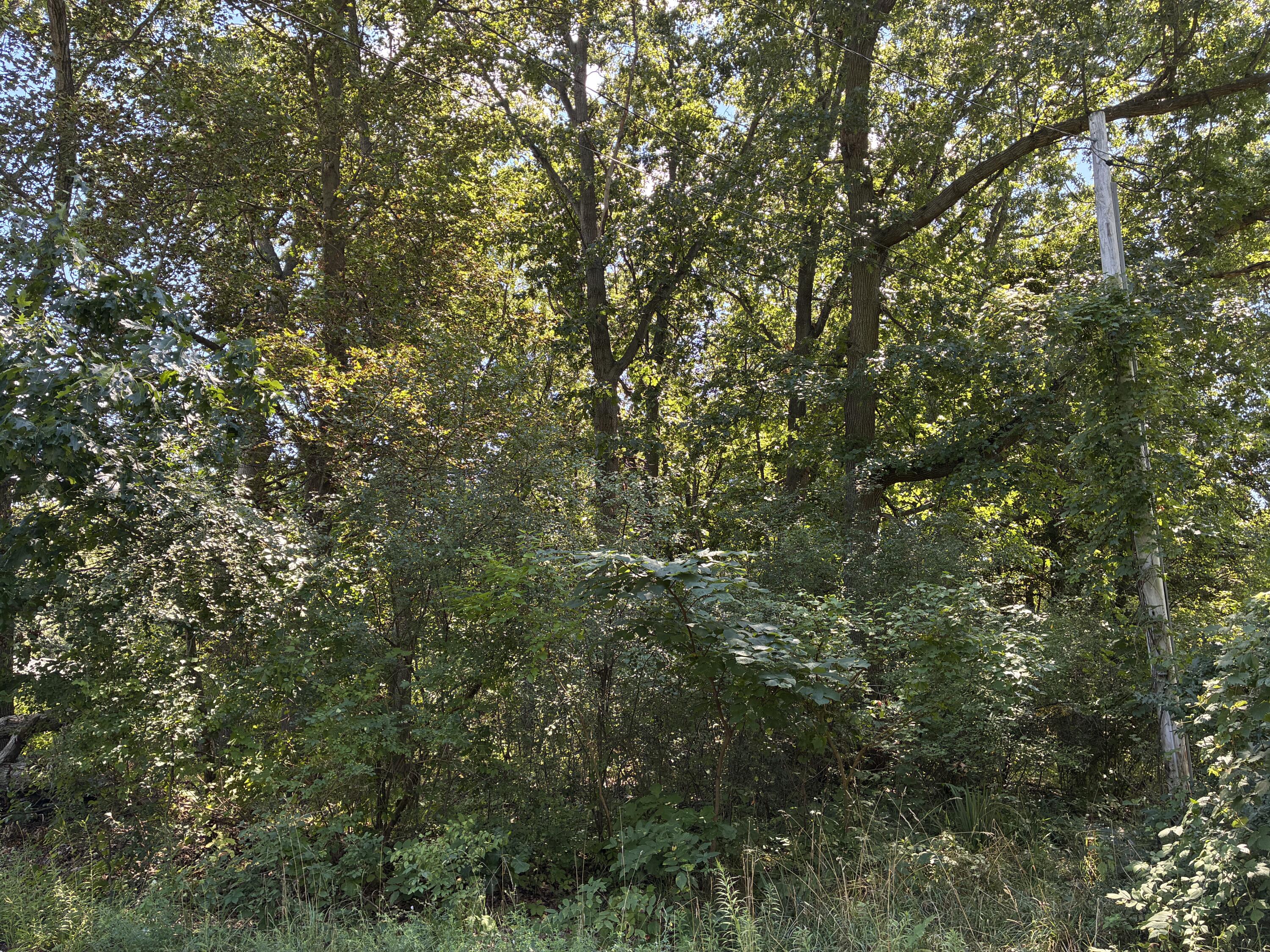 Francis Avenue Kalamazoo MI 49048
