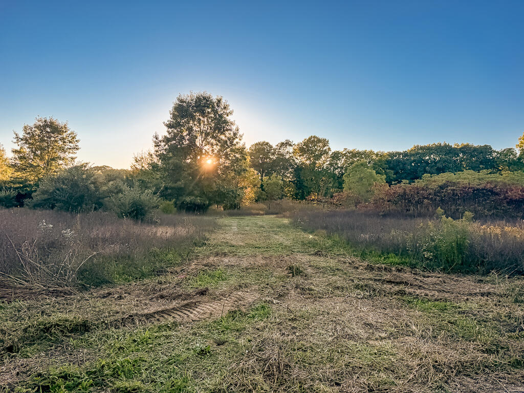 3324 Pine Glen Drive Saugatuck MI 49453