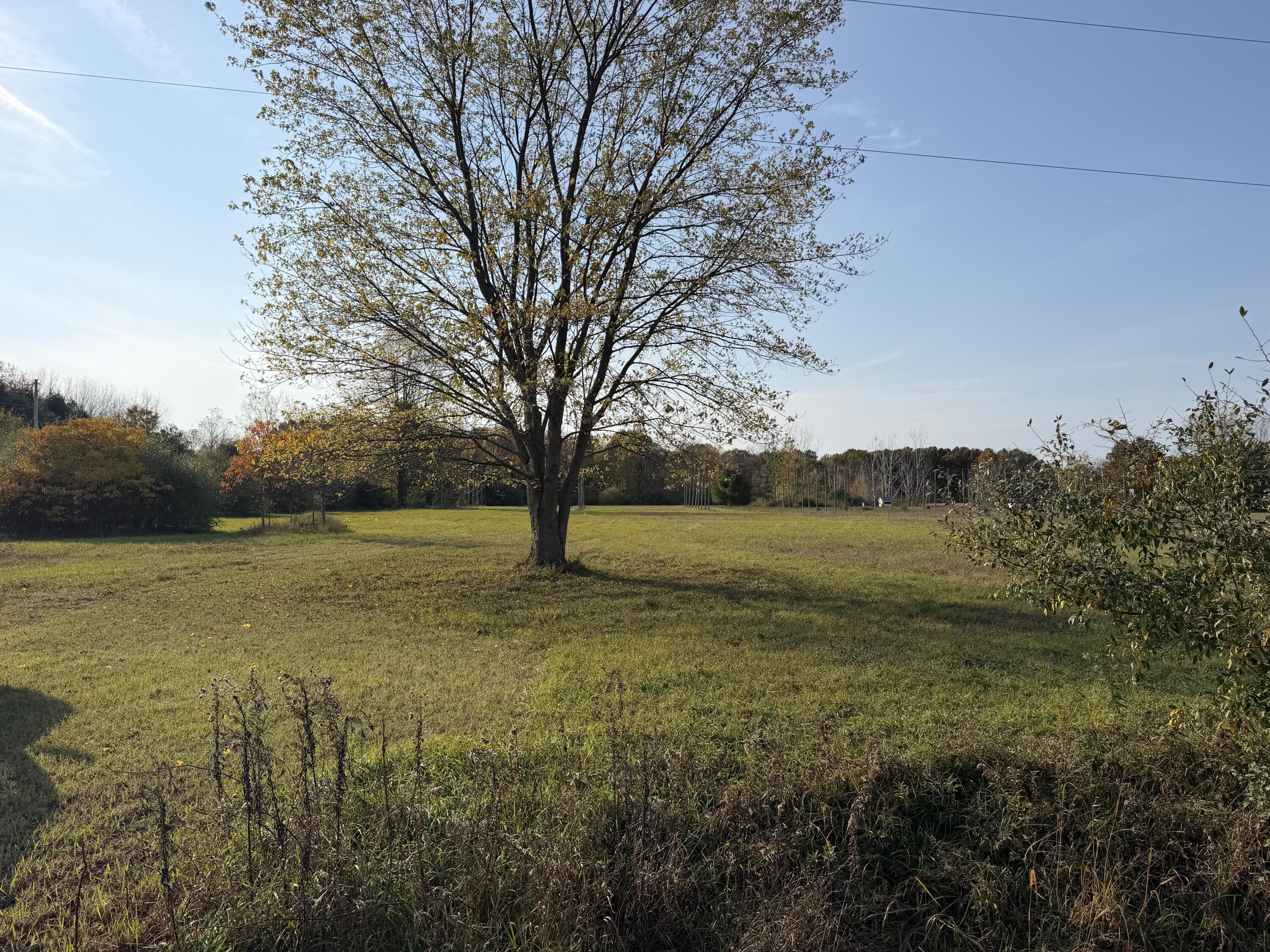 V/l 65th Street Fennville MI 49408