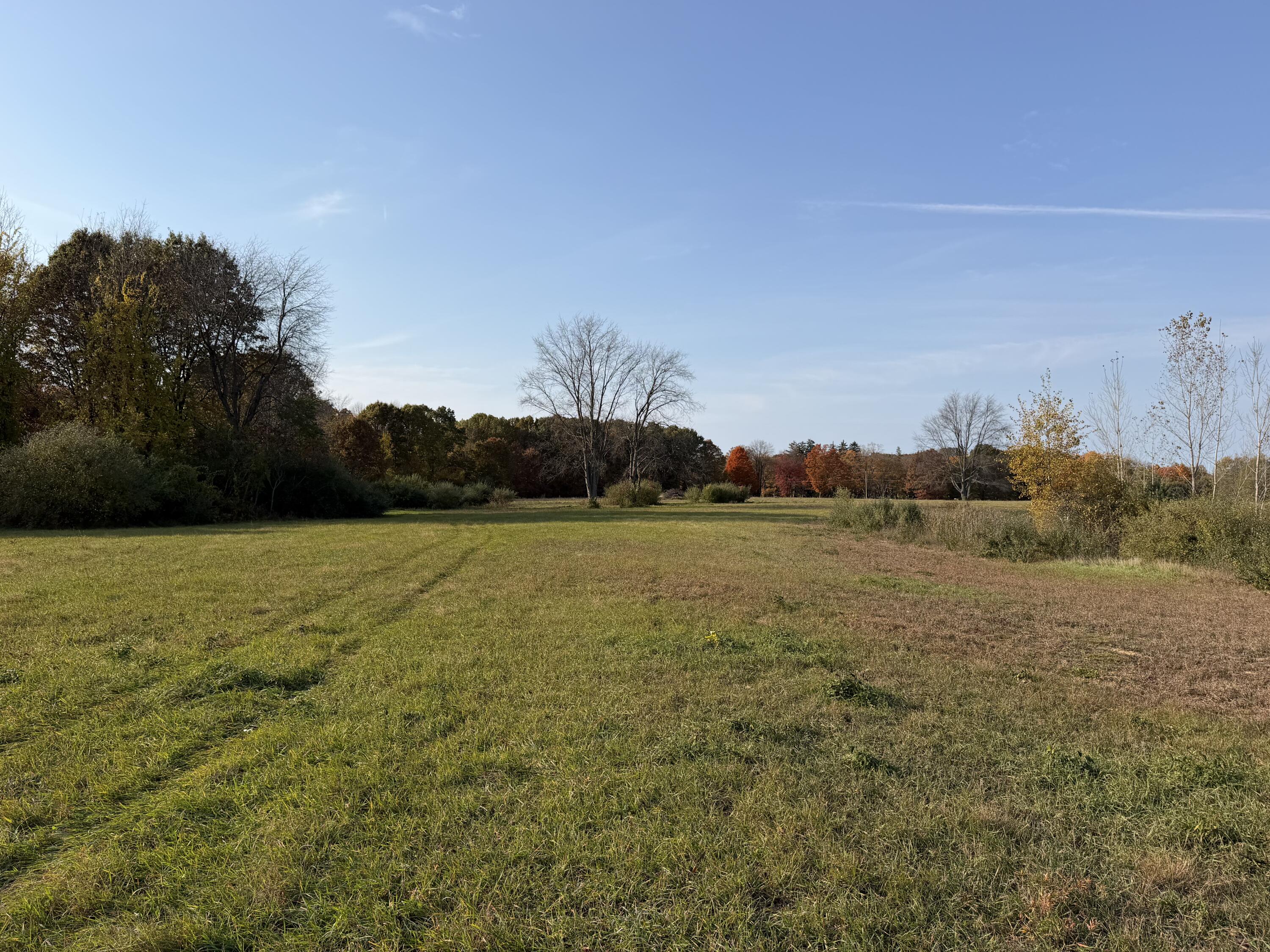 V/l 65th Street Fennville MI 49408