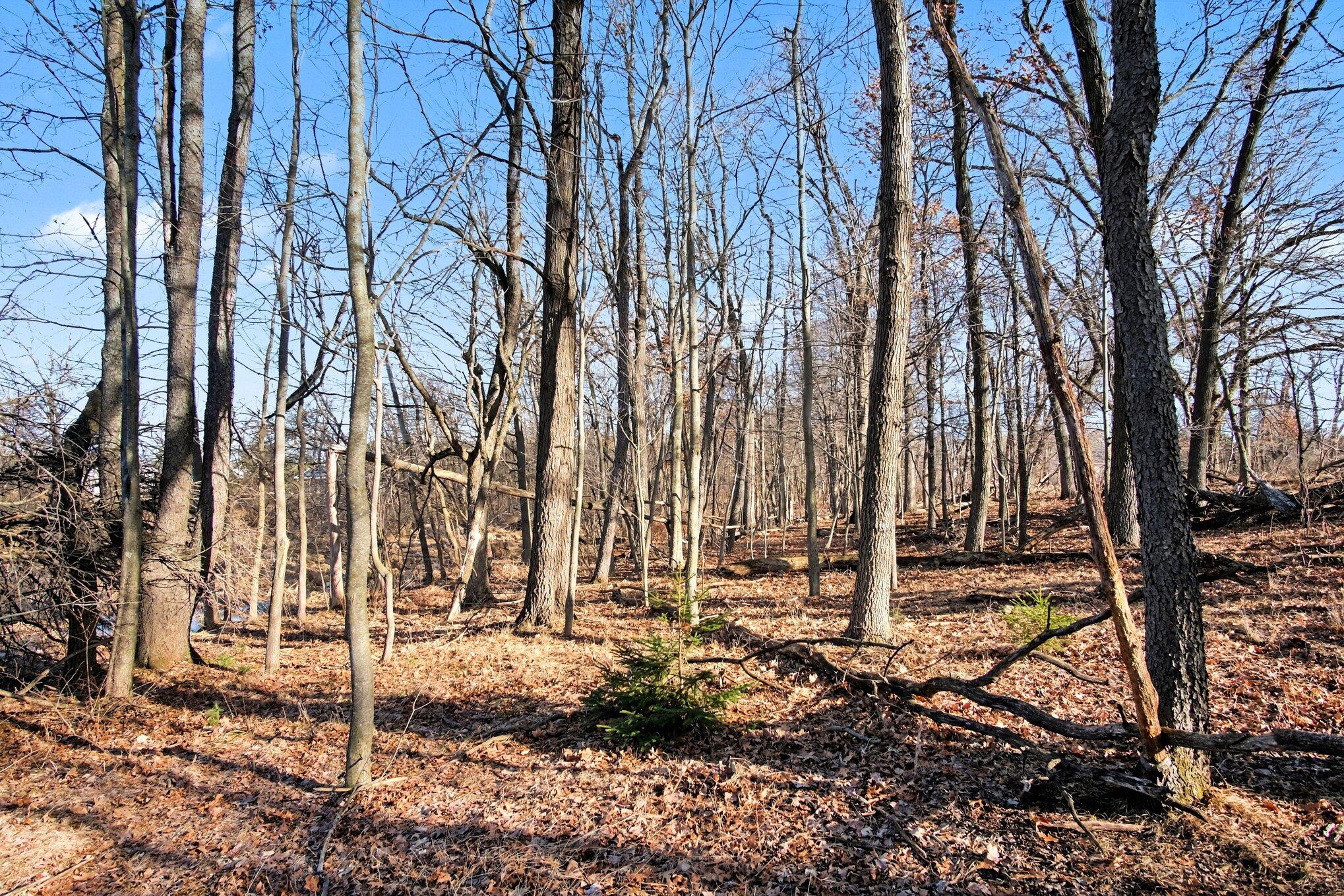 8696 9 Mile Road NE Rockford MI 49341