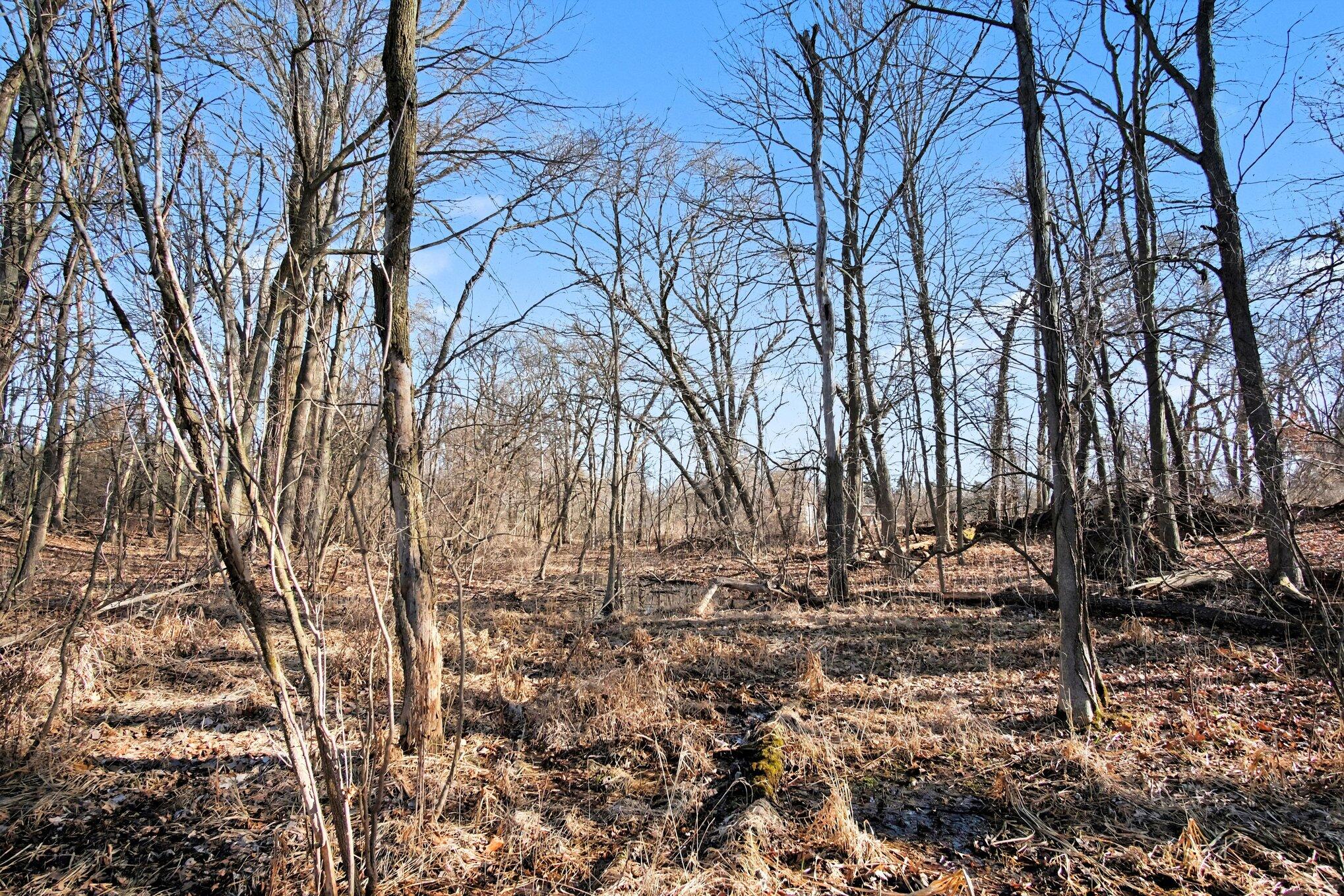 8696 9 Mile Road NE Rockford MI 49341