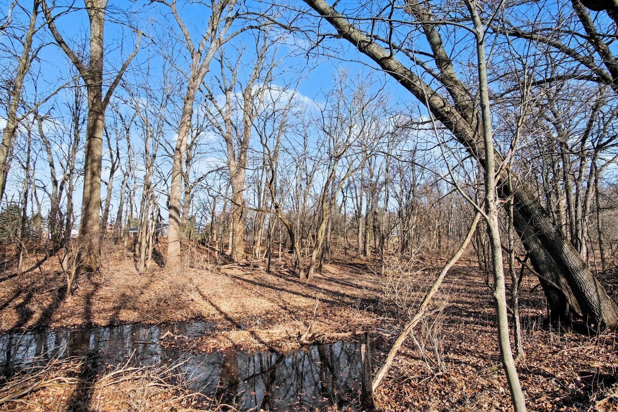 8696 9 Mile Road NE Rockford MI 49341