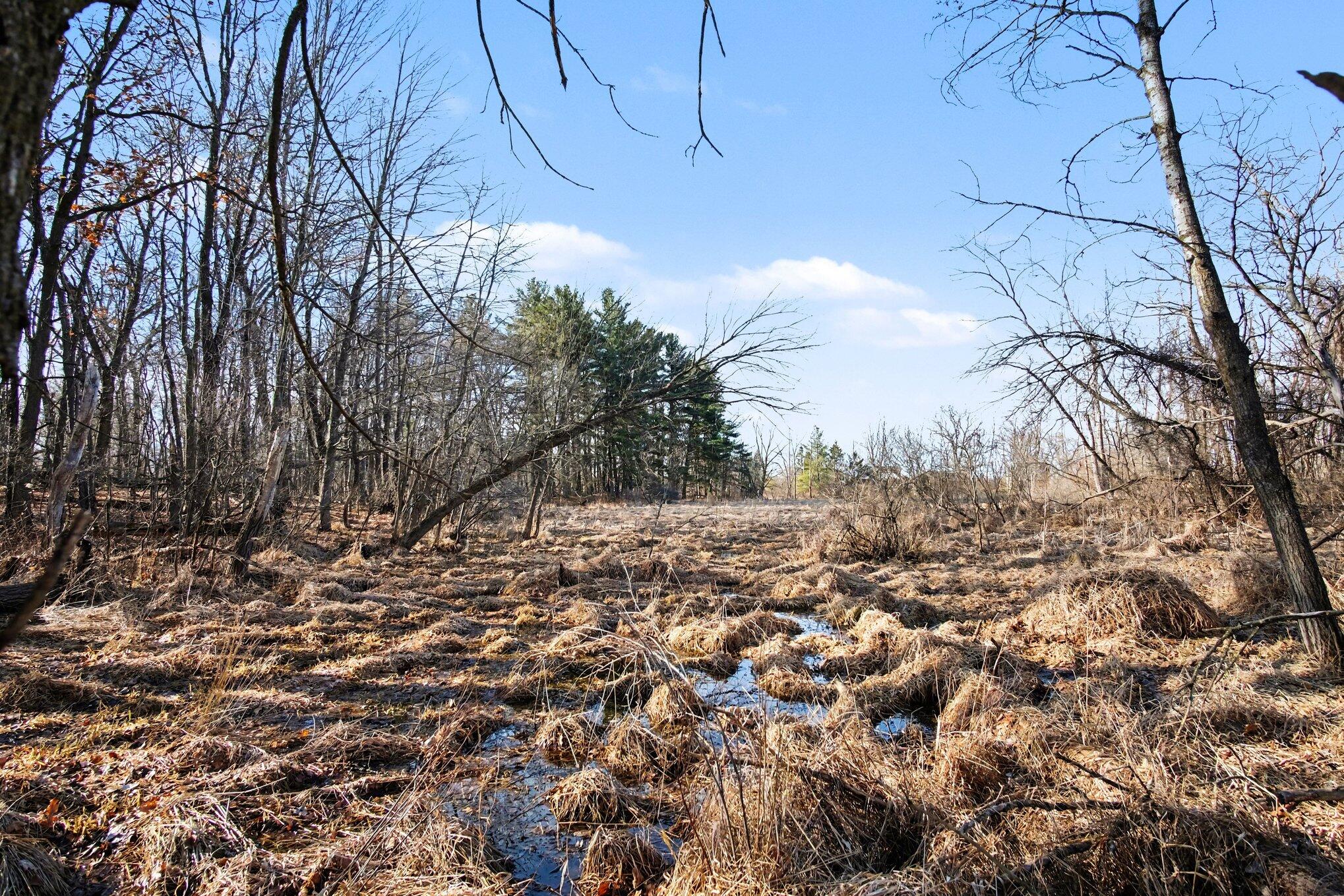 8696 9 Mile Road NE Rockford MI 49341