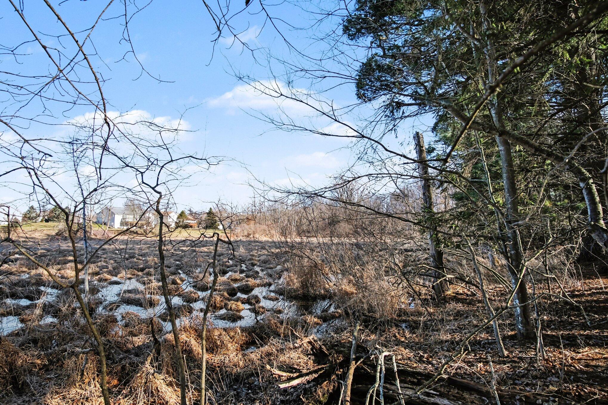8696 9 Mile Road NE Rockford MI 49341