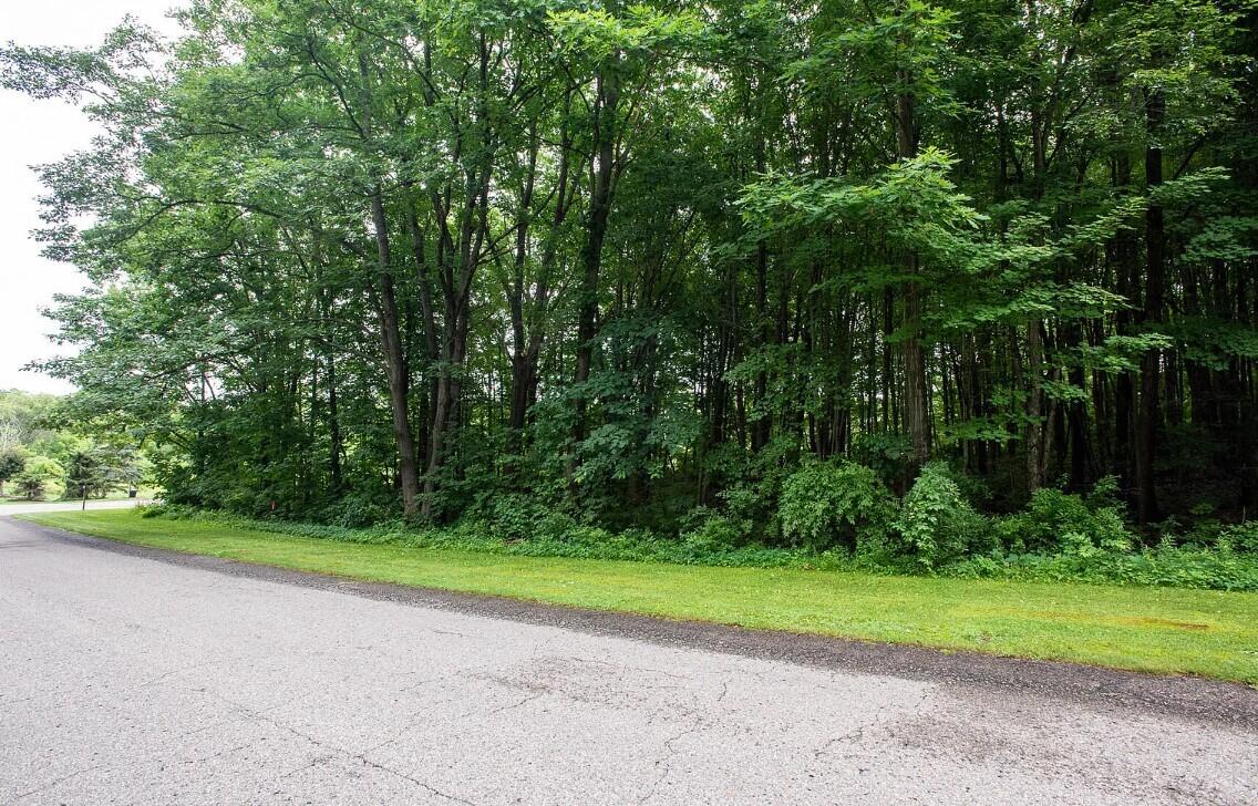 2928 Pickford Drive SE Ada MI 49301