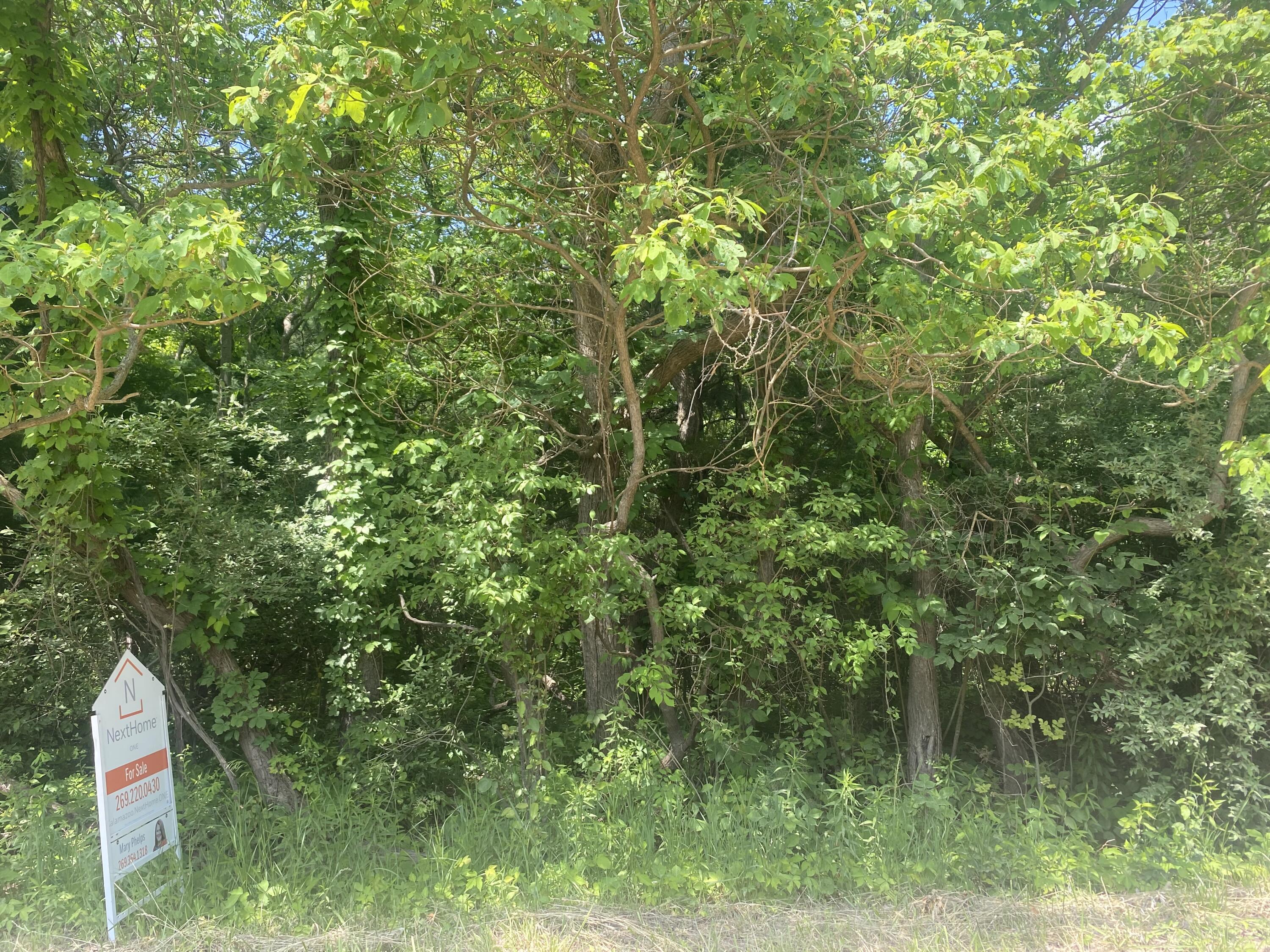 V/l N 55th Street-b Grand Junction MI 49056