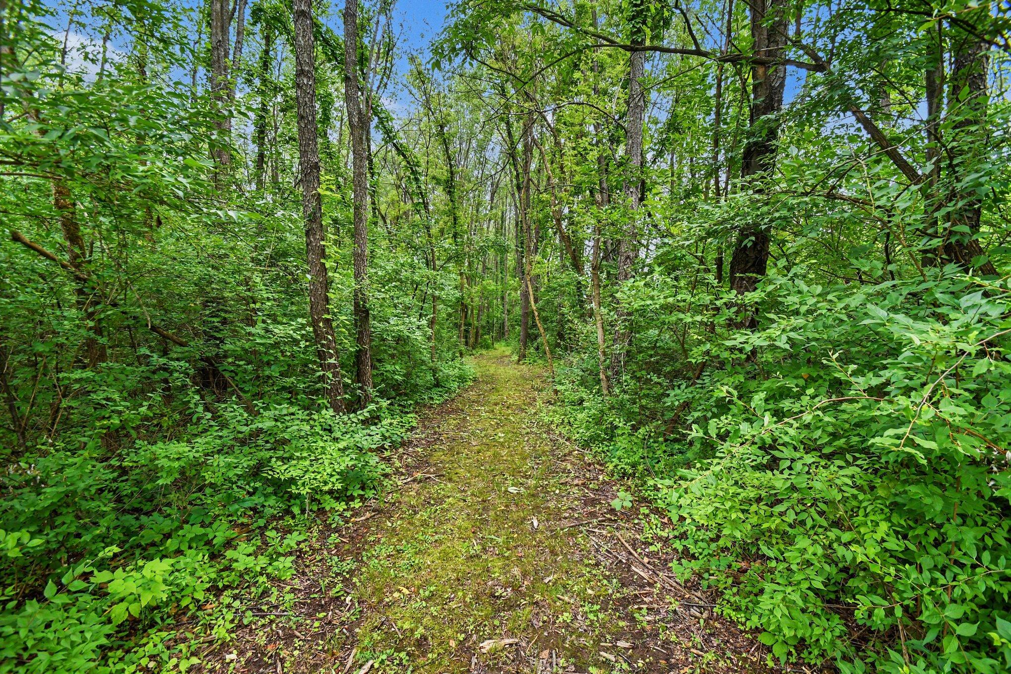 V/l Forest Shores Drive Cassopolis MI 49031