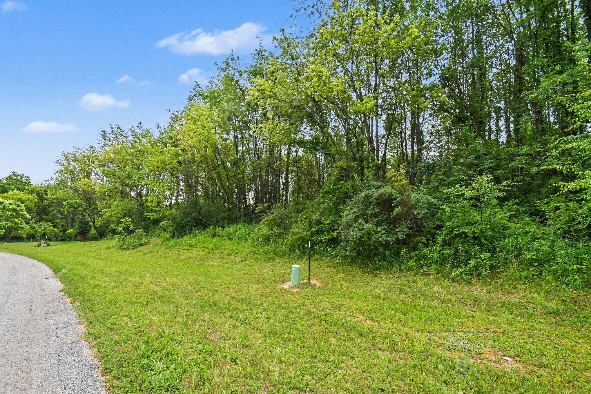V/l Forest Shores Drive Cassopolis MI 49031