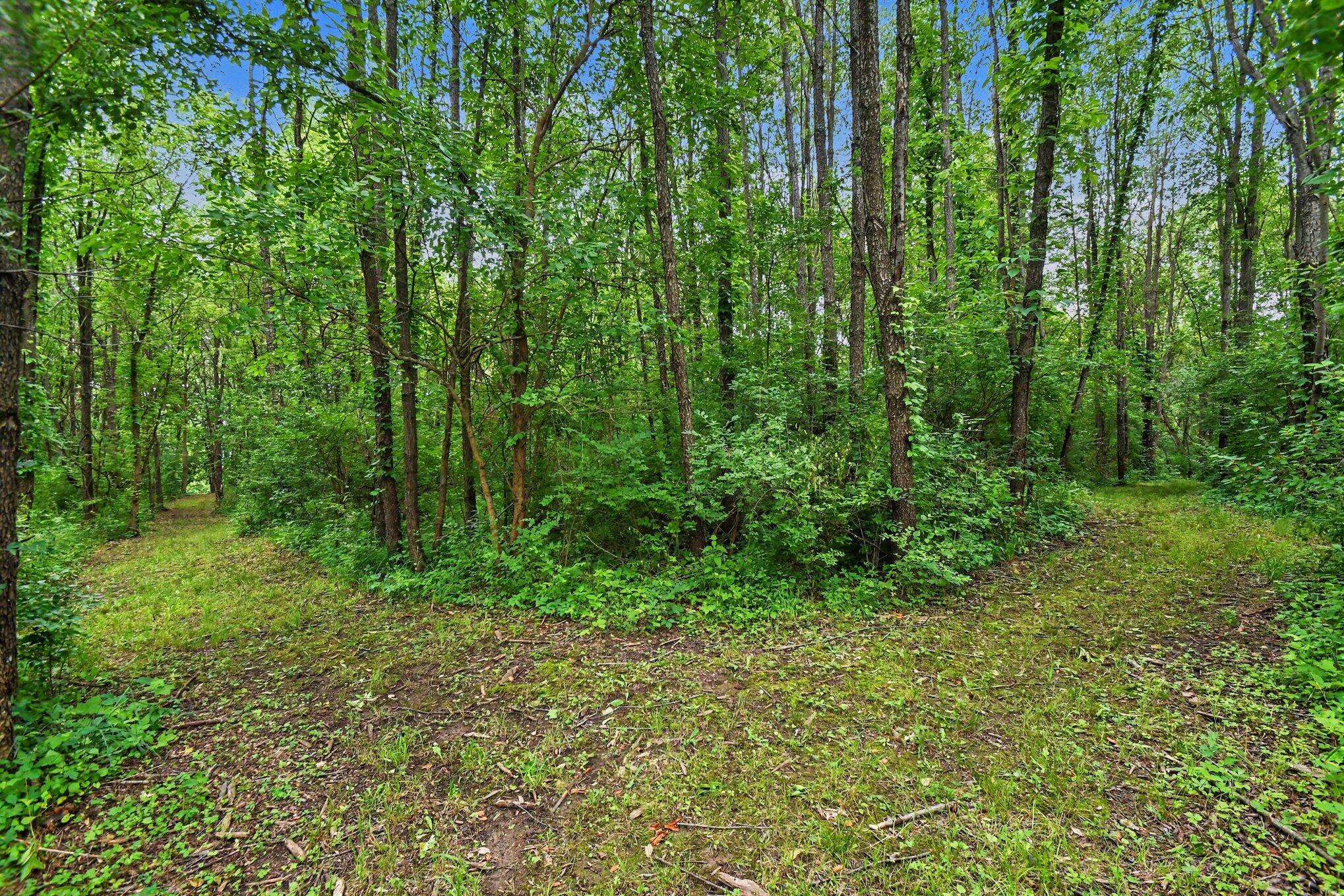 V/l Forest Shores Drive Cassopolis MI 49031