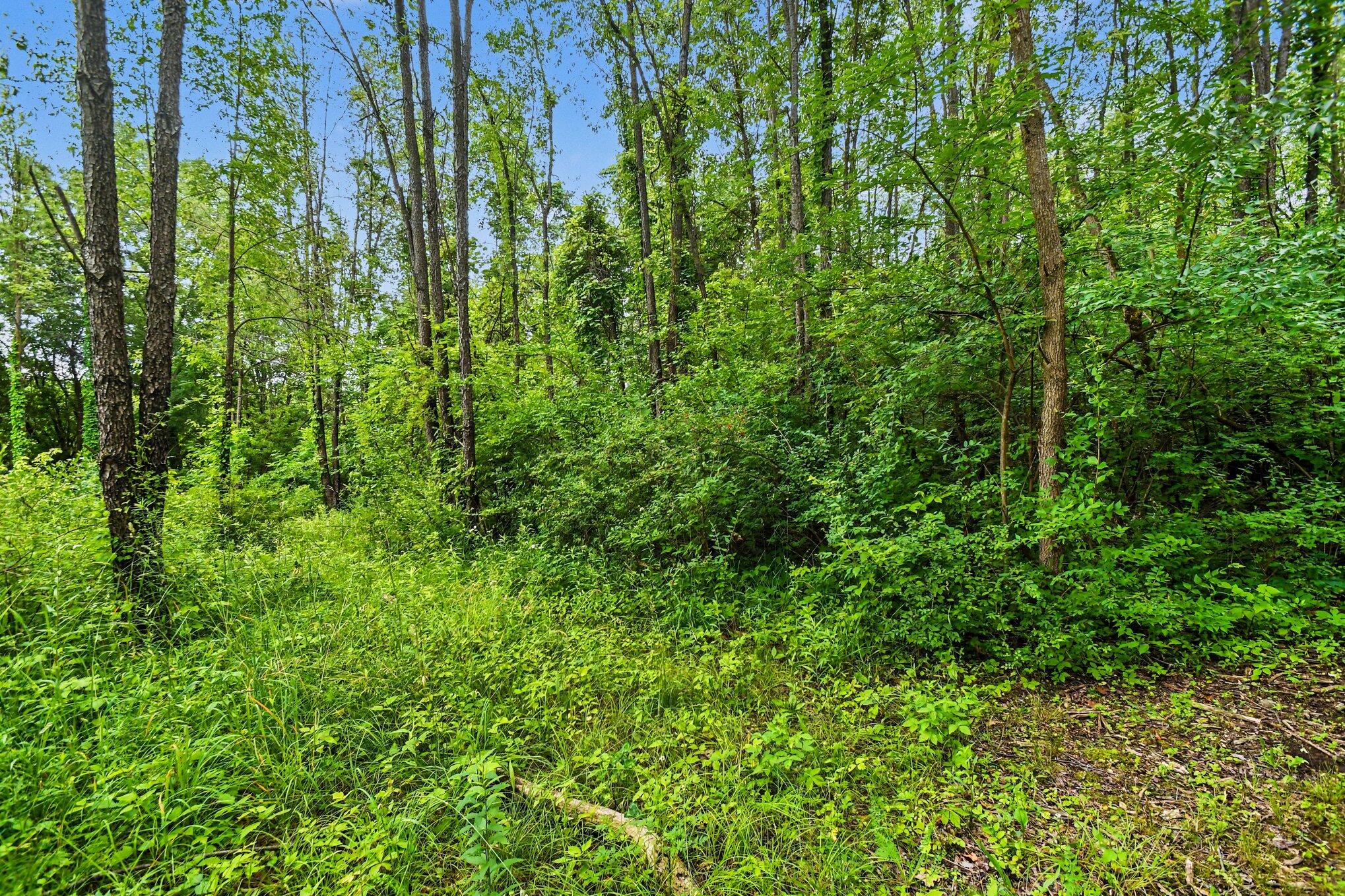 V/l Forest Shores Drive Cassopolis MI 49031