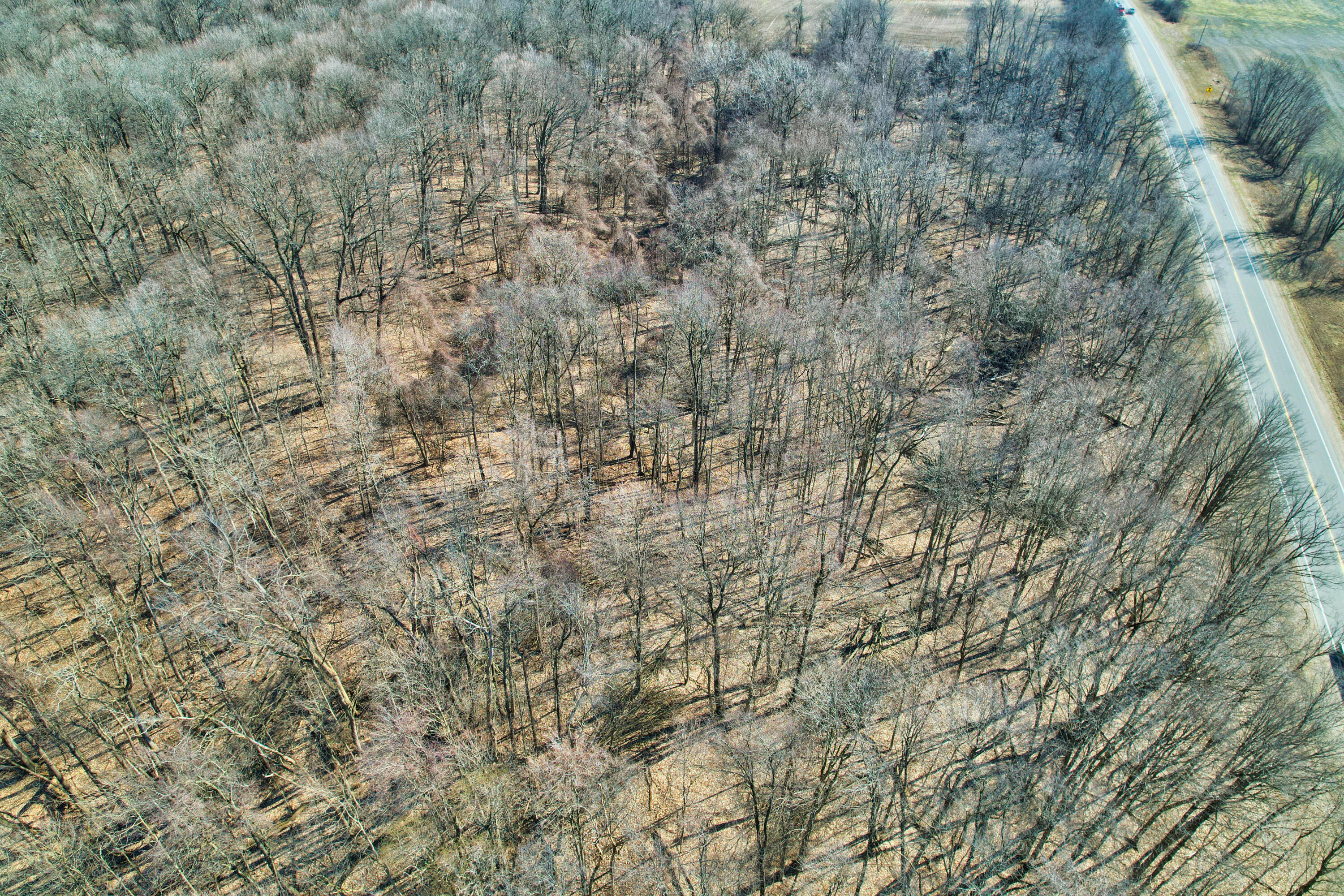 Track 4 W Us 12 Highway Trail Buchanan MI 49107