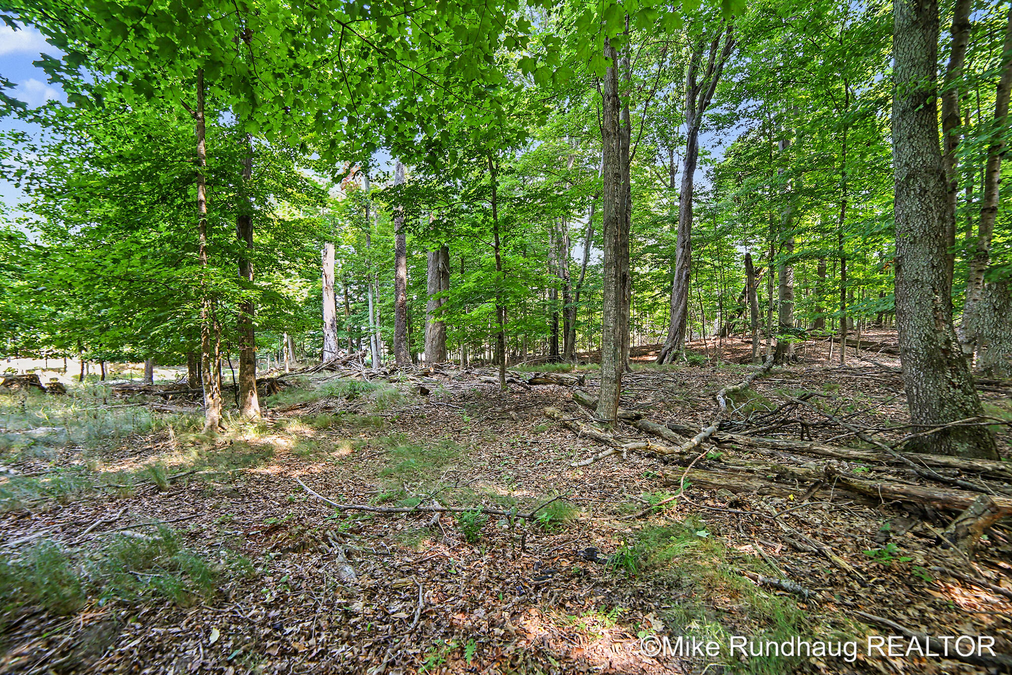Parcel A Ridgewood Drive Ludington MI 49431