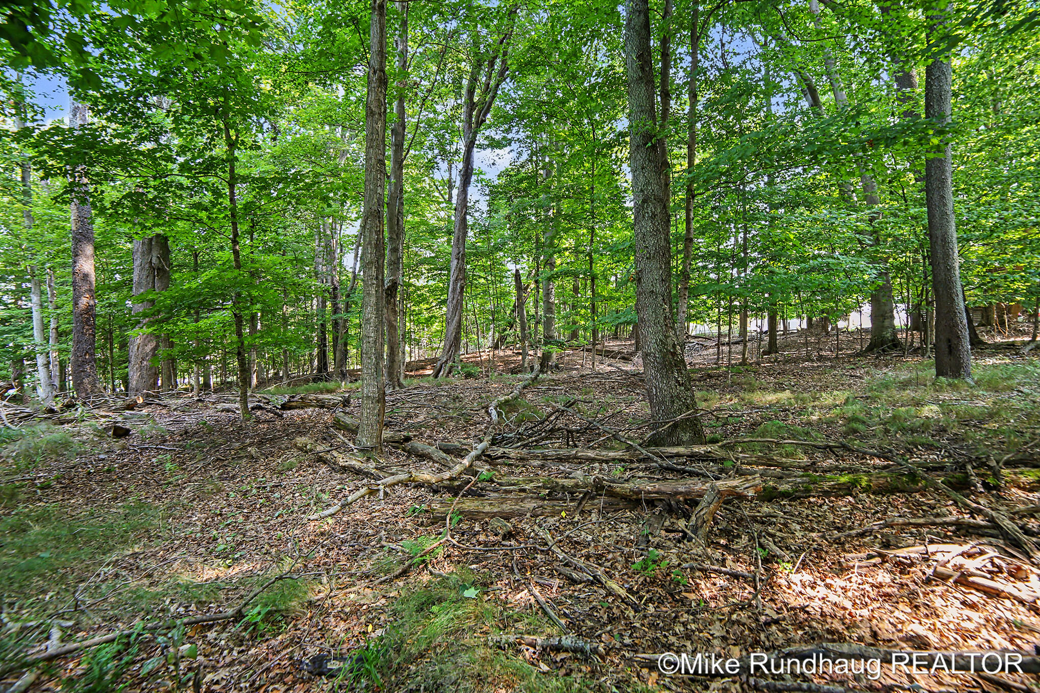 Parcel A Ridgewood Drive Ludington MI 49431