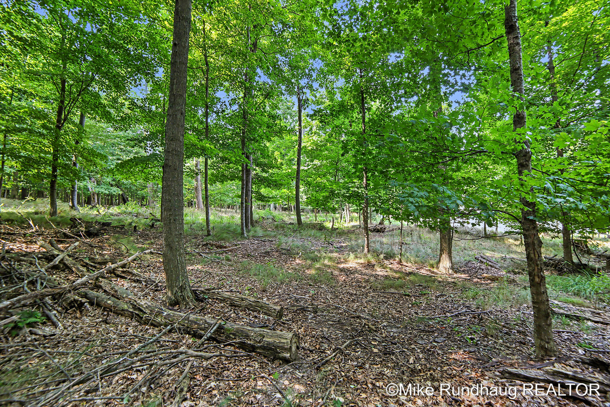 Parcel A Ridgewood Drive Ludington MI 49431