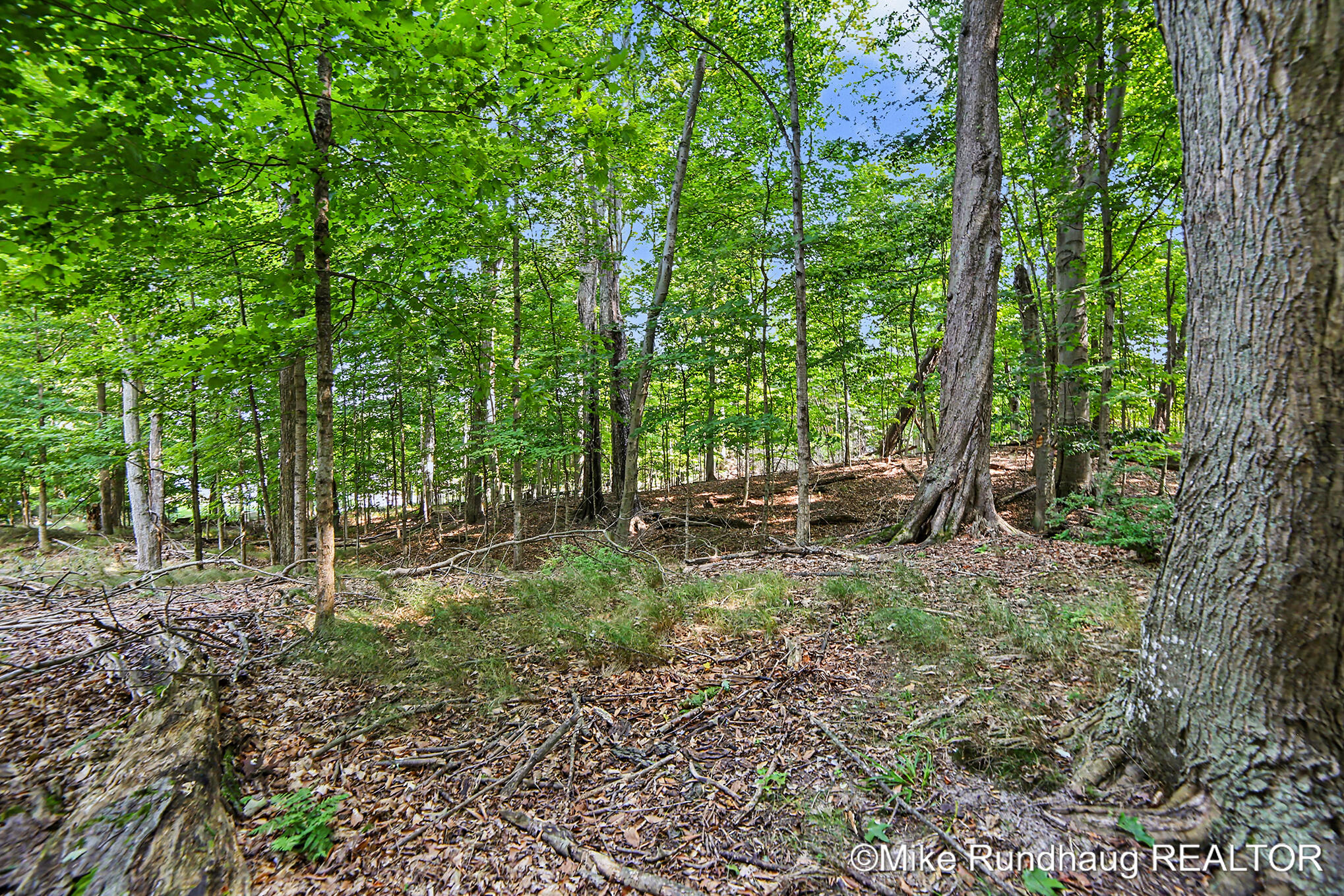 Parcel A Ridgewood Drive Ludington MI 49431