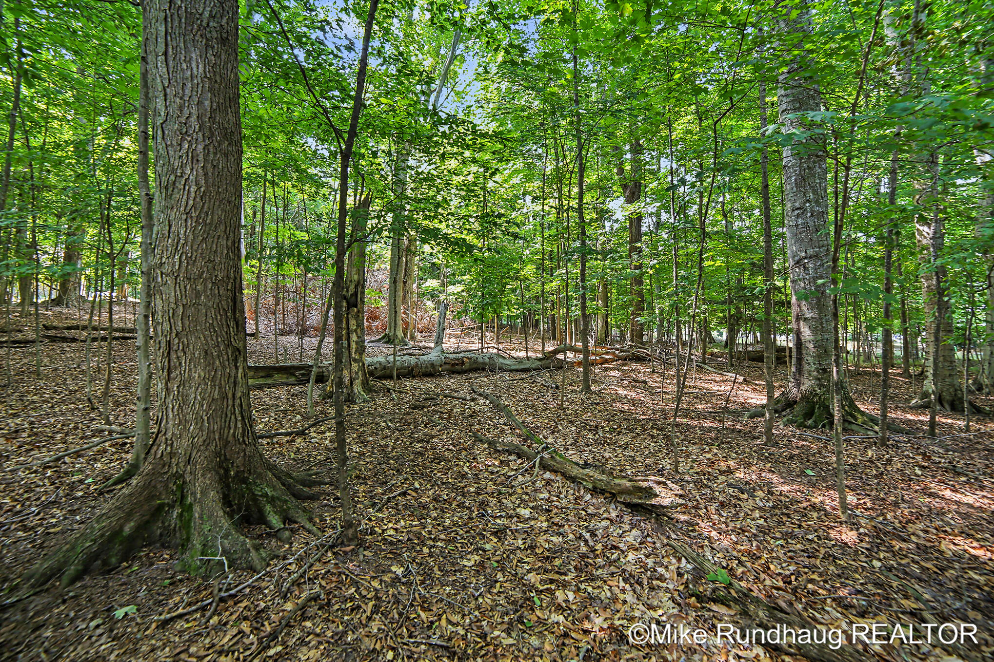 Parcel A Ridgewood Drive Ludington MI 49431