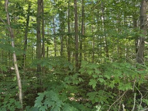 5818 Hunters Ridge Fennville MI 49408