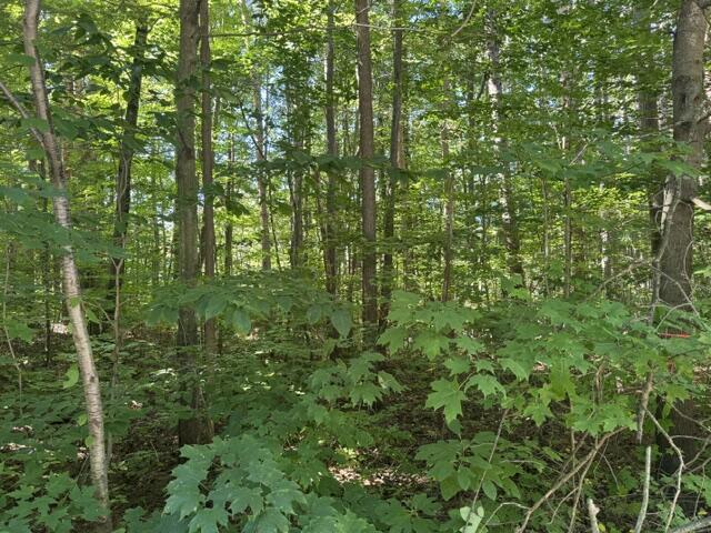 5818 Hunters Ridge Fennville MI 49408