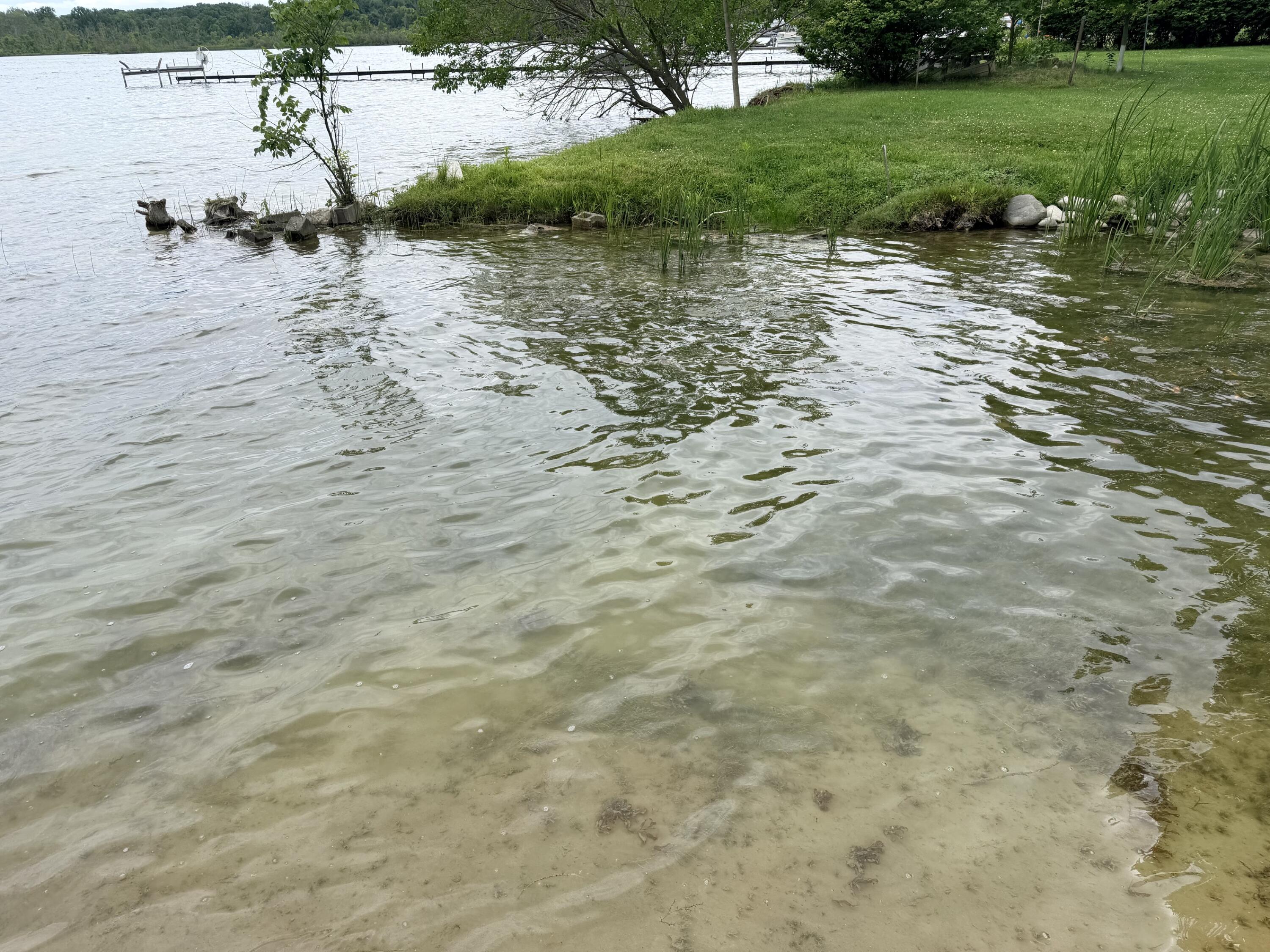2402 Dumont Lake Road Allegan MI 49010