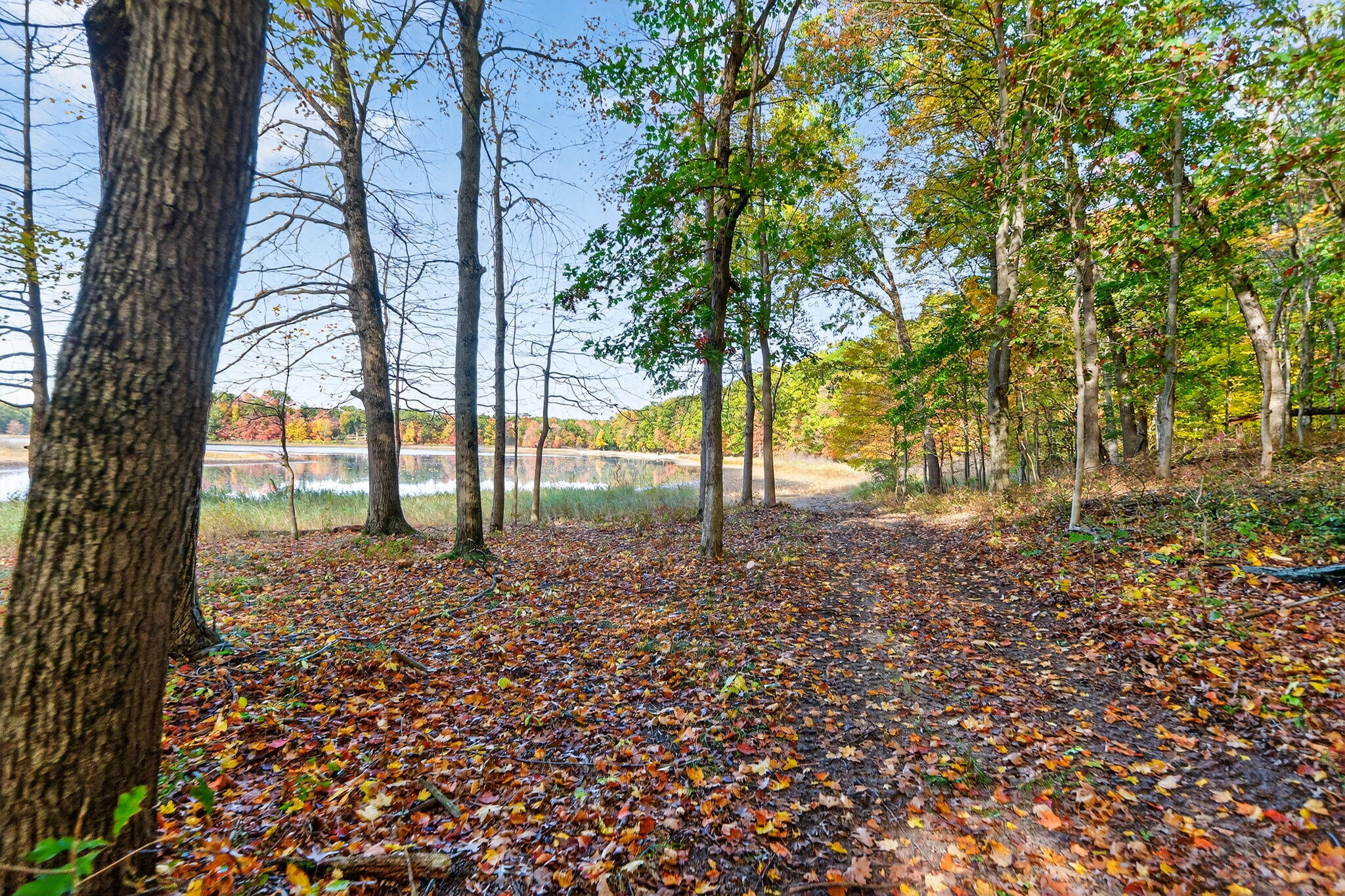 66561 Conrad Road Edwardsburg MI 49112