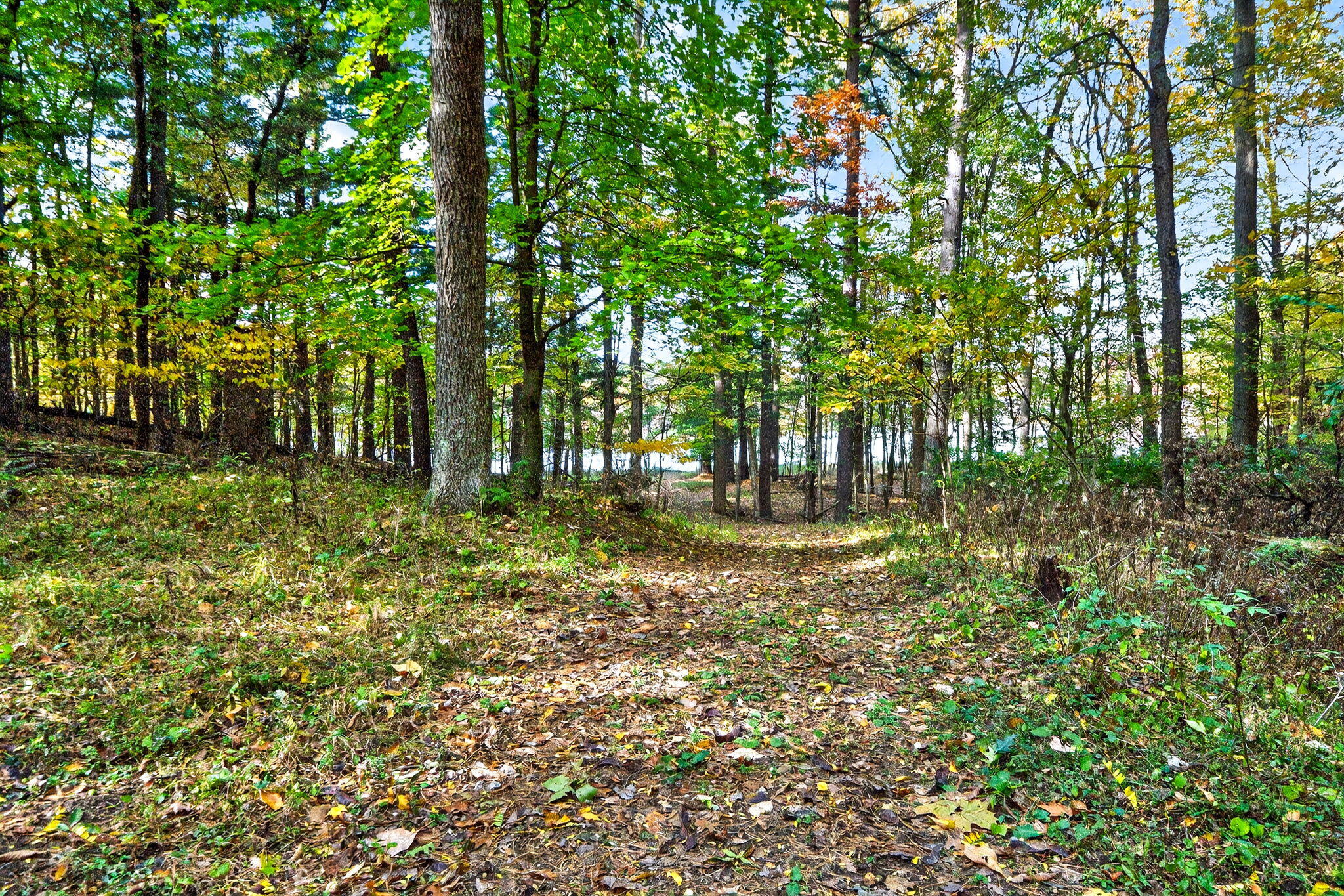 66561 Conrad Road Edwardsburg MI 49112