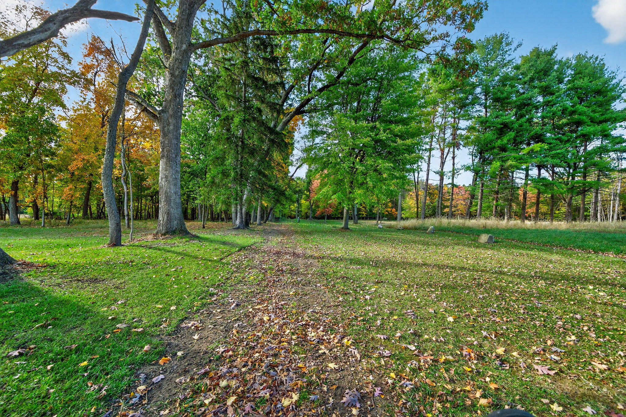 66561 Conrad Road Edwardsburg MI 49112