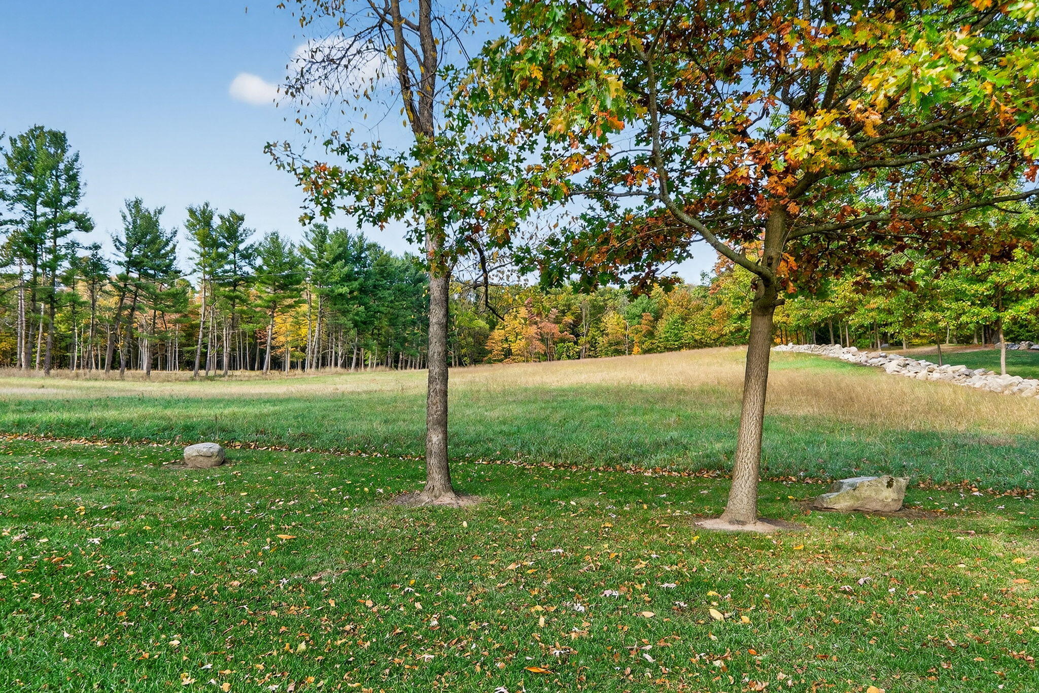 66561 Conrad Road Edwardsburg MI 49112