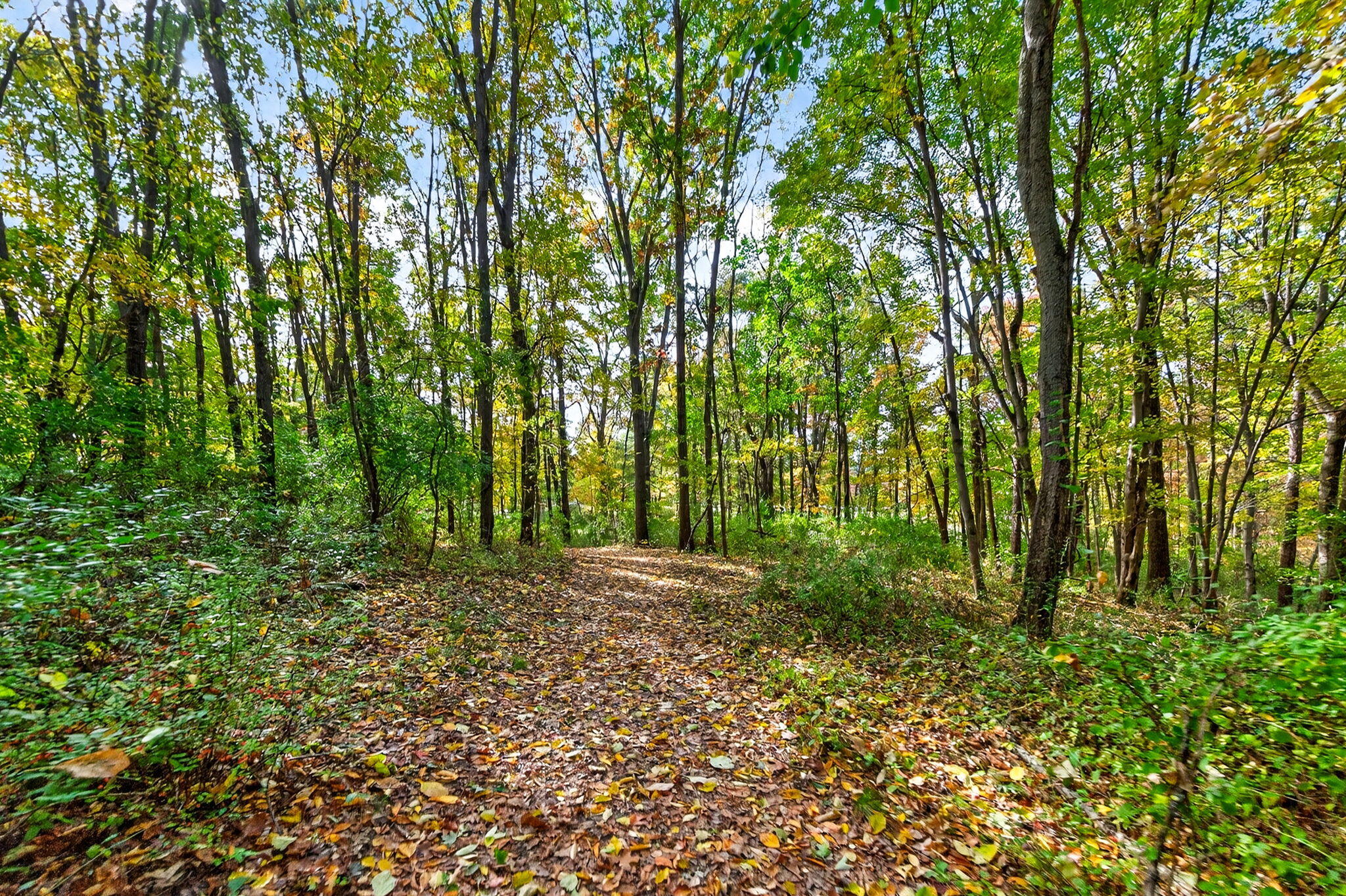 66561 Conrad Road Edwardsburg MI 49112