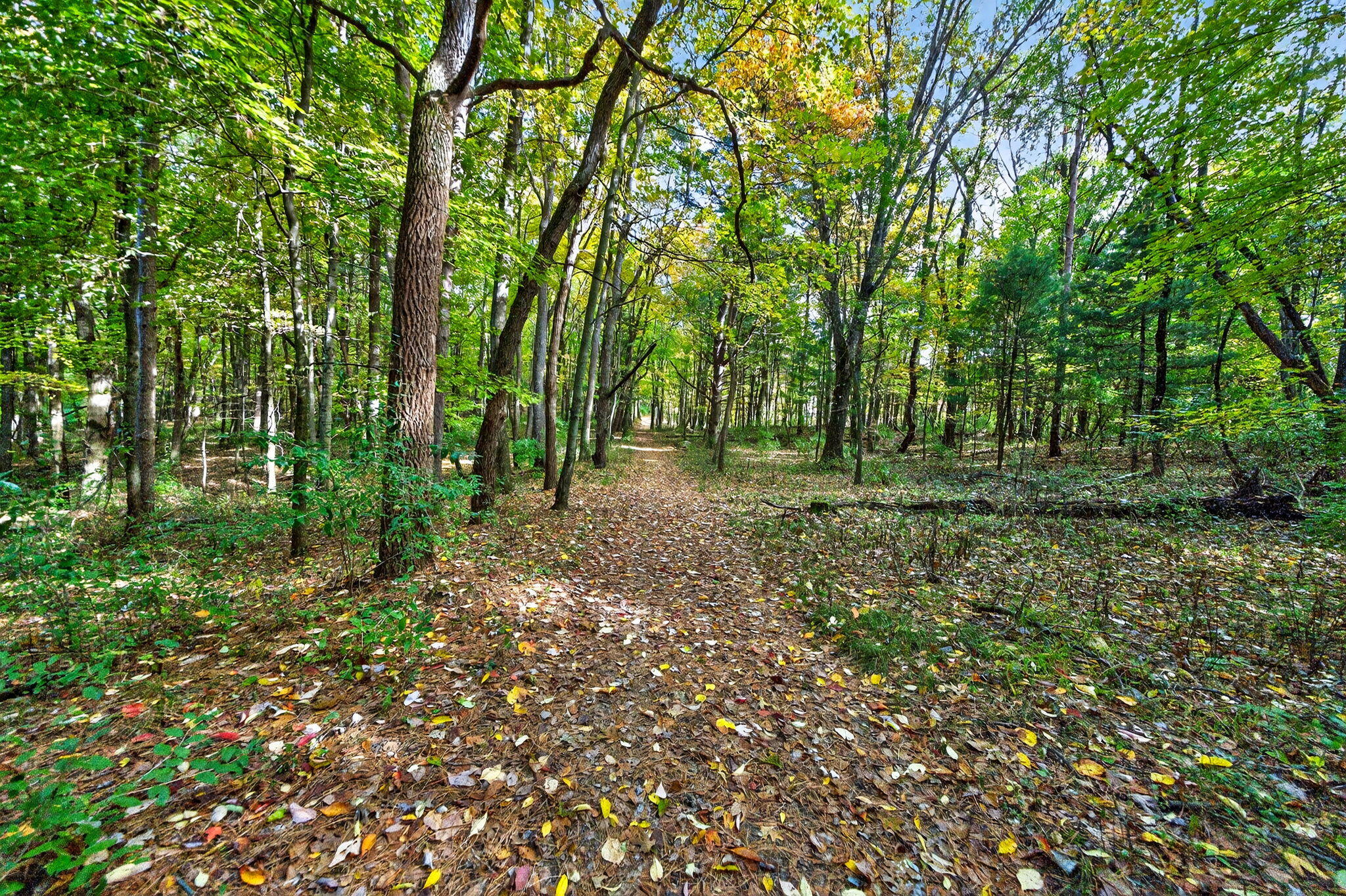 66561 Conrad Road Edwardsburg MI 49112