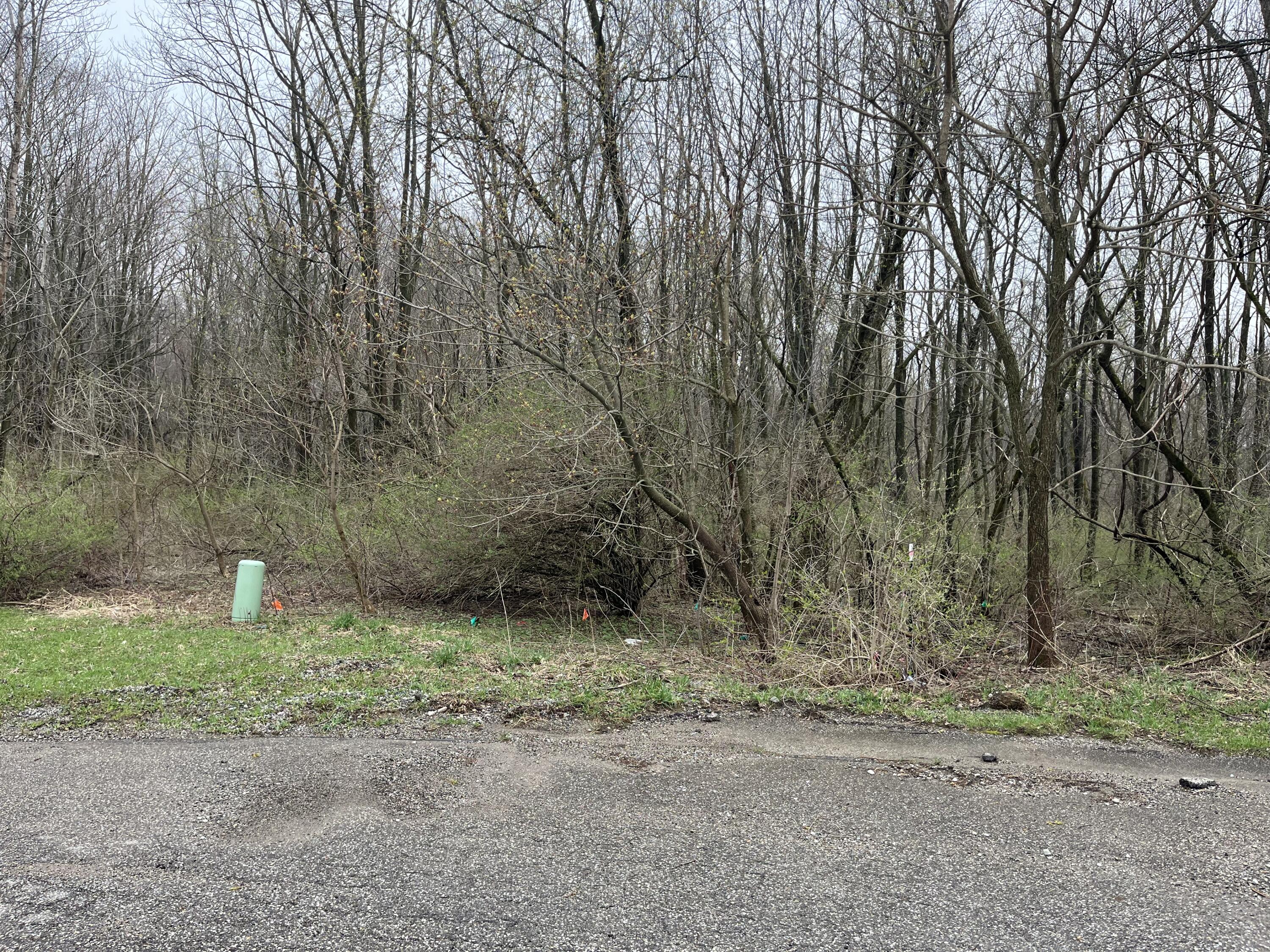 11 Forest Shores Drive Cassopolis MI 49031